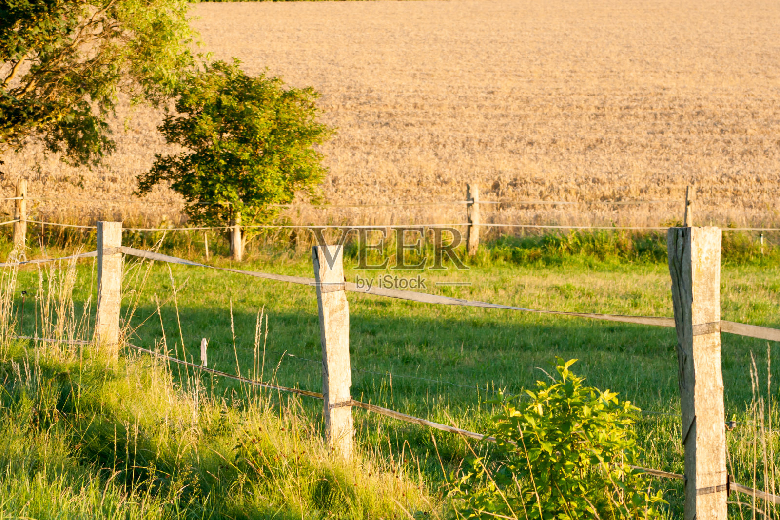 绿色草地上的旧木栅栏照片摄影图片