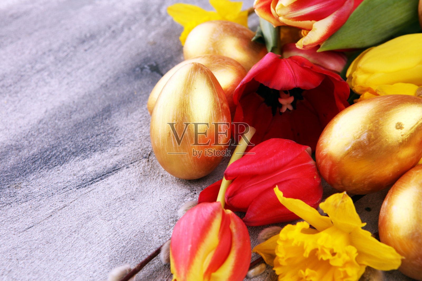 金色的复活节彩蛋，小柳树猫，还有盛开着郁金香的春花照片摄影图片