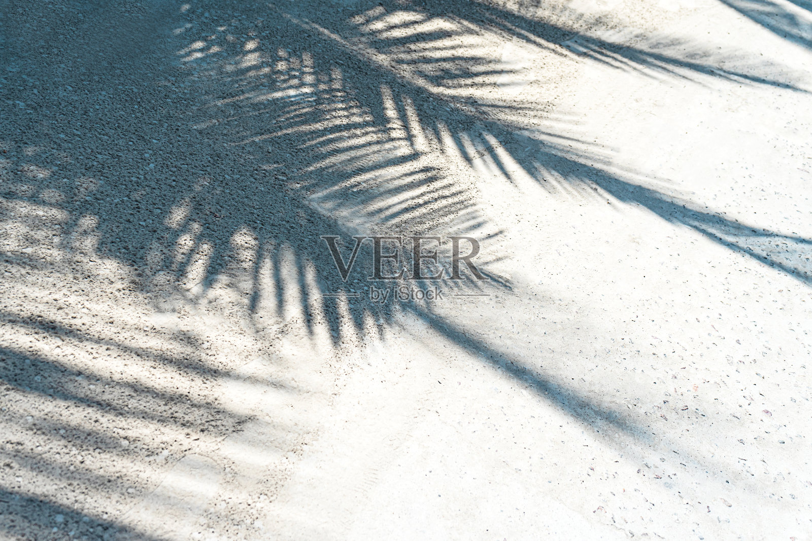 热带海滩上白色的沙滩上棕榈叶的影子。照片摄影图片