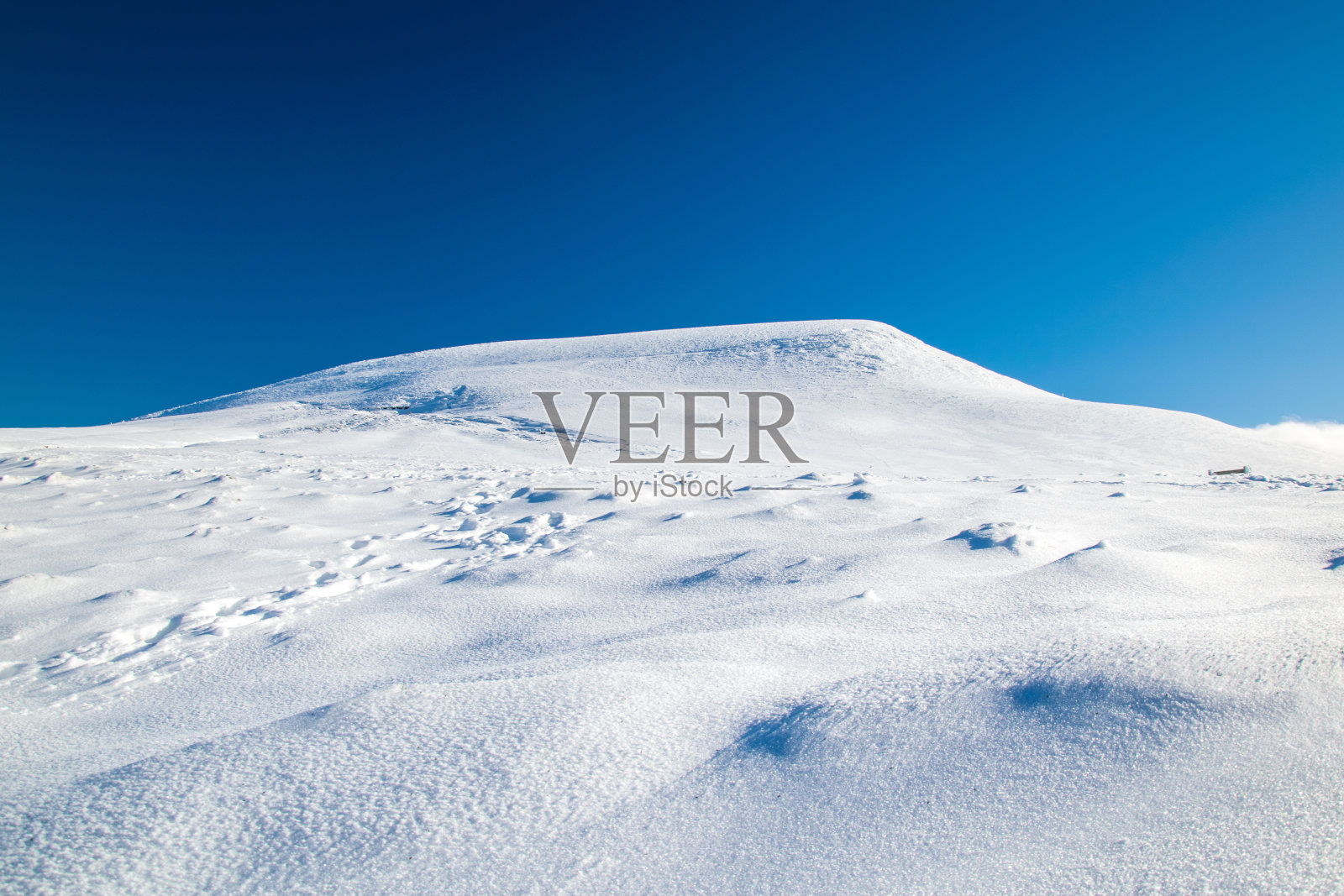 克罗伊斯-莫兰上校照片摄影图片