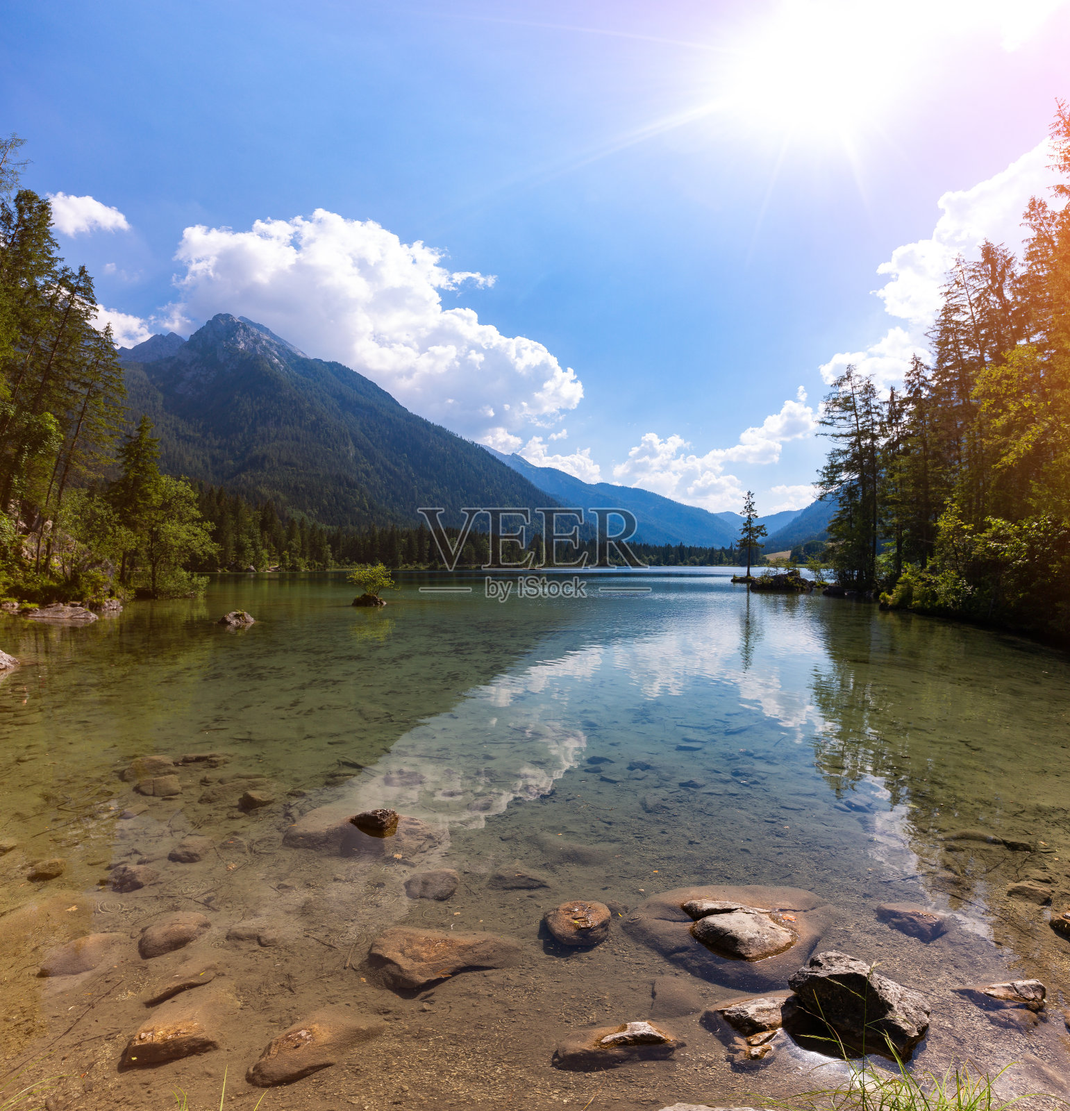 美丽的早晨景色著名的Hintersee湖在贝希特斯加登国家公园，上巴伐利亚阿尔卑斯山，德国，欧洲。自然美的概念背景。照片摄影图片