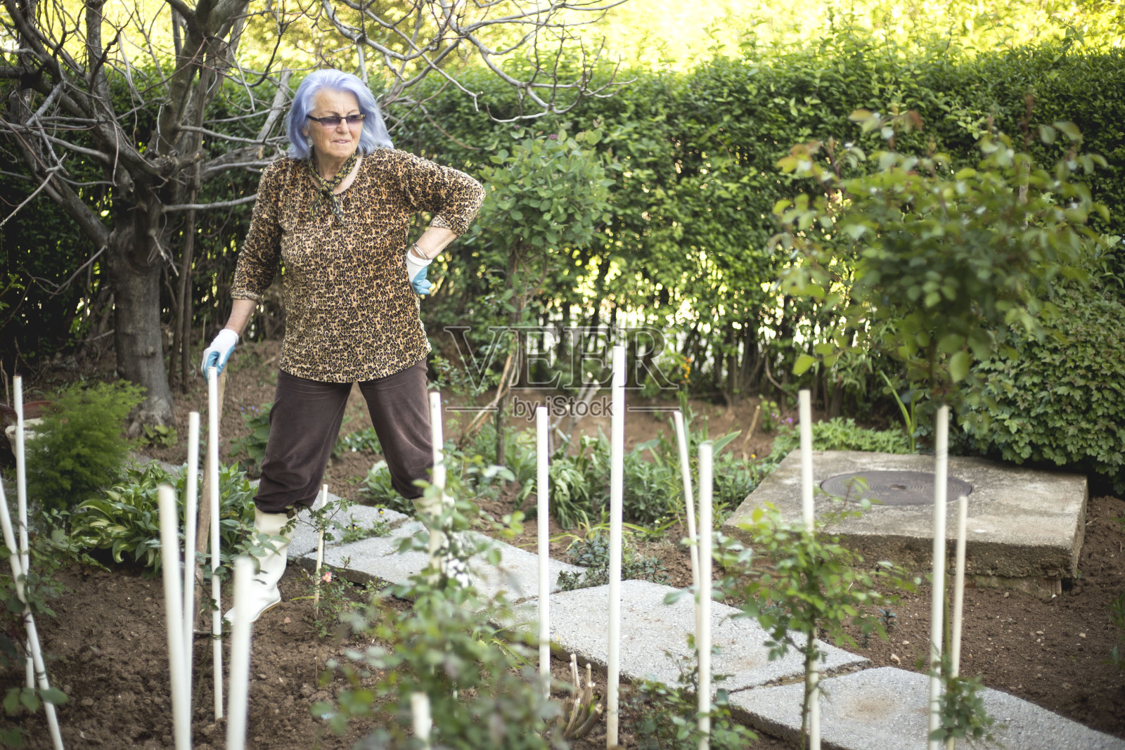 妇女在美丽的春日园艺照片摄影图片