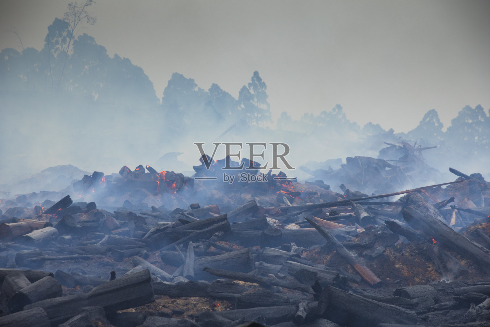 澳大利亚内陆的丛林大火正在燃烧照片摄影图片