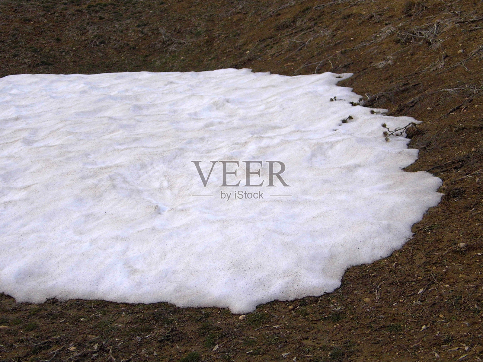 冬天，芦苇间的雪开始融化，春天慢慢来了，大自然苏醒了，照片摄影图片