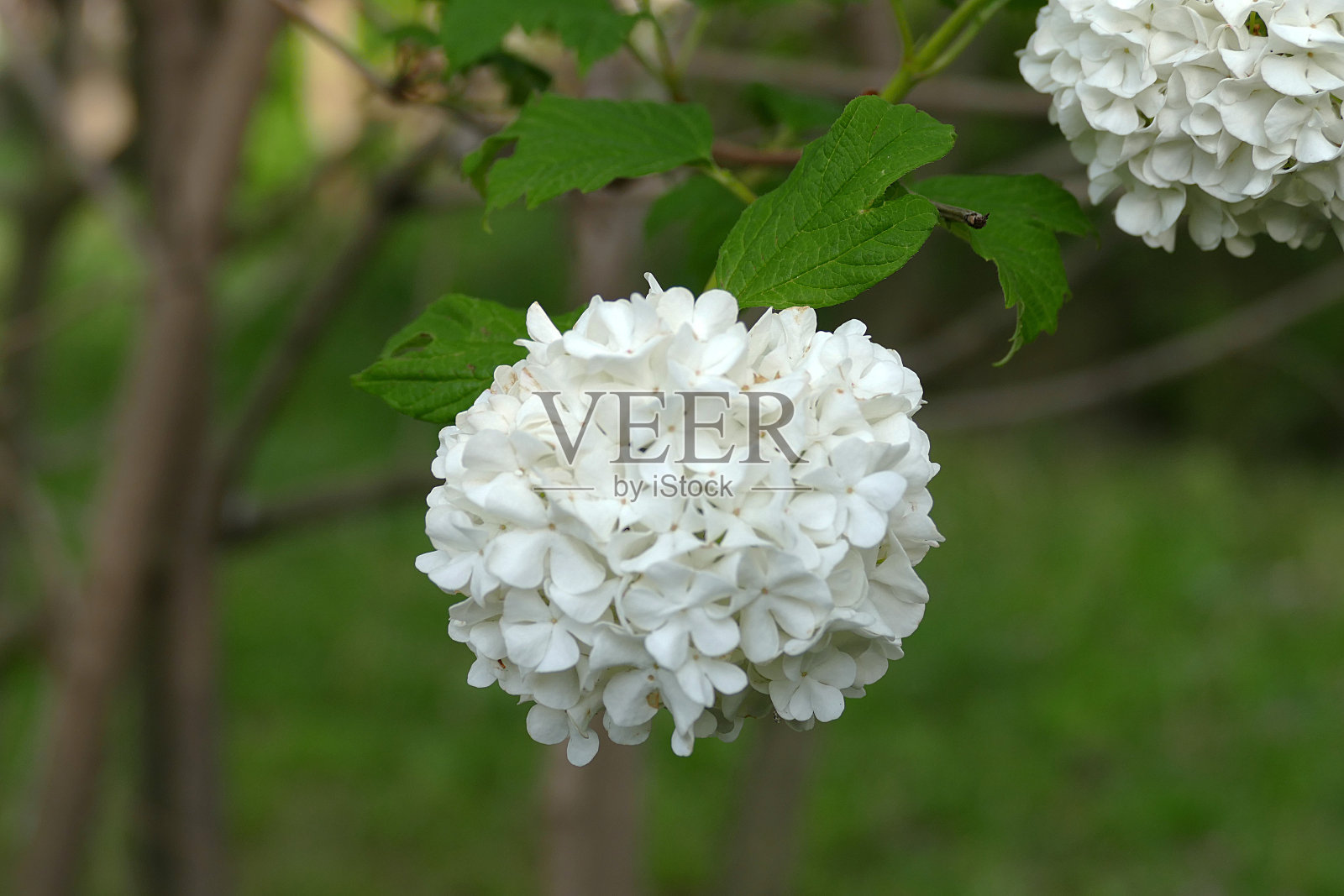 家里温度测量的图片照片摄影图片