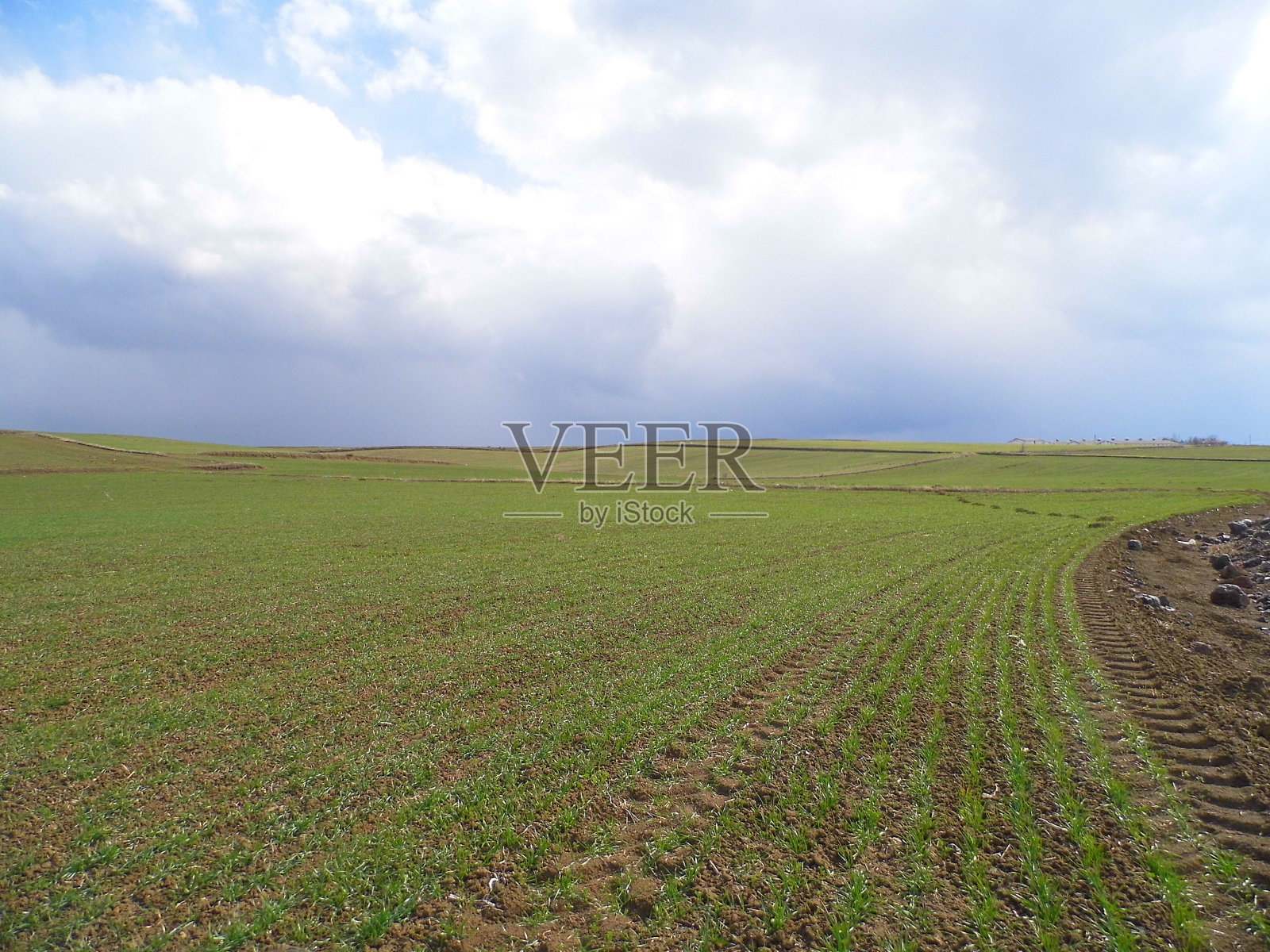 小麦和大麦种植于农业地区，农业地区为大陆性气候，照片摄影图片