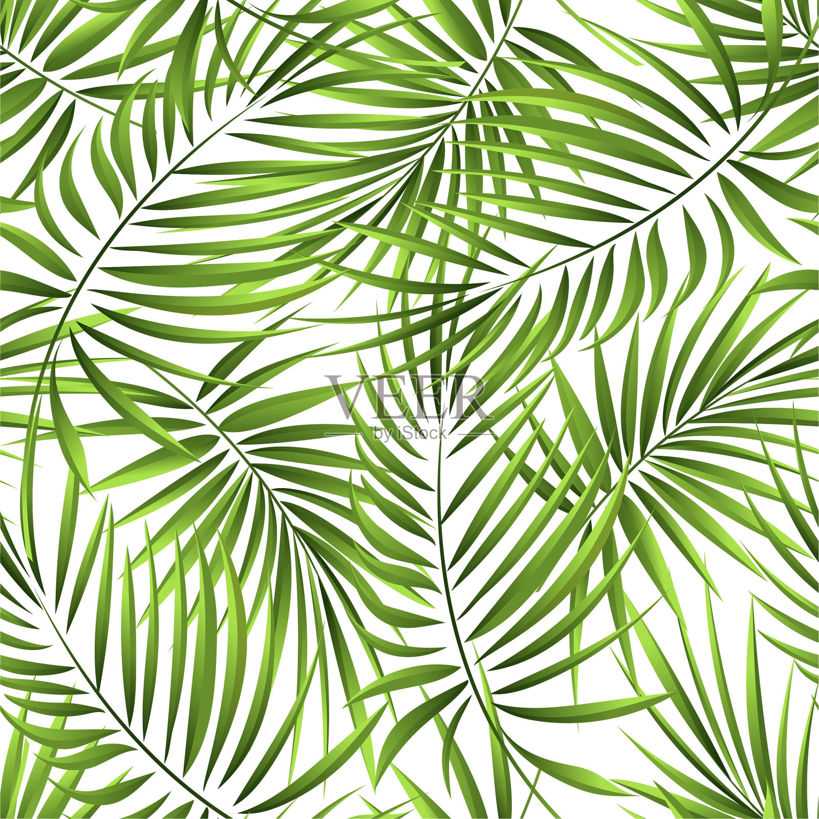热带棕榈枝，丛林树叶的无缝图案。手绘。插画图片素材