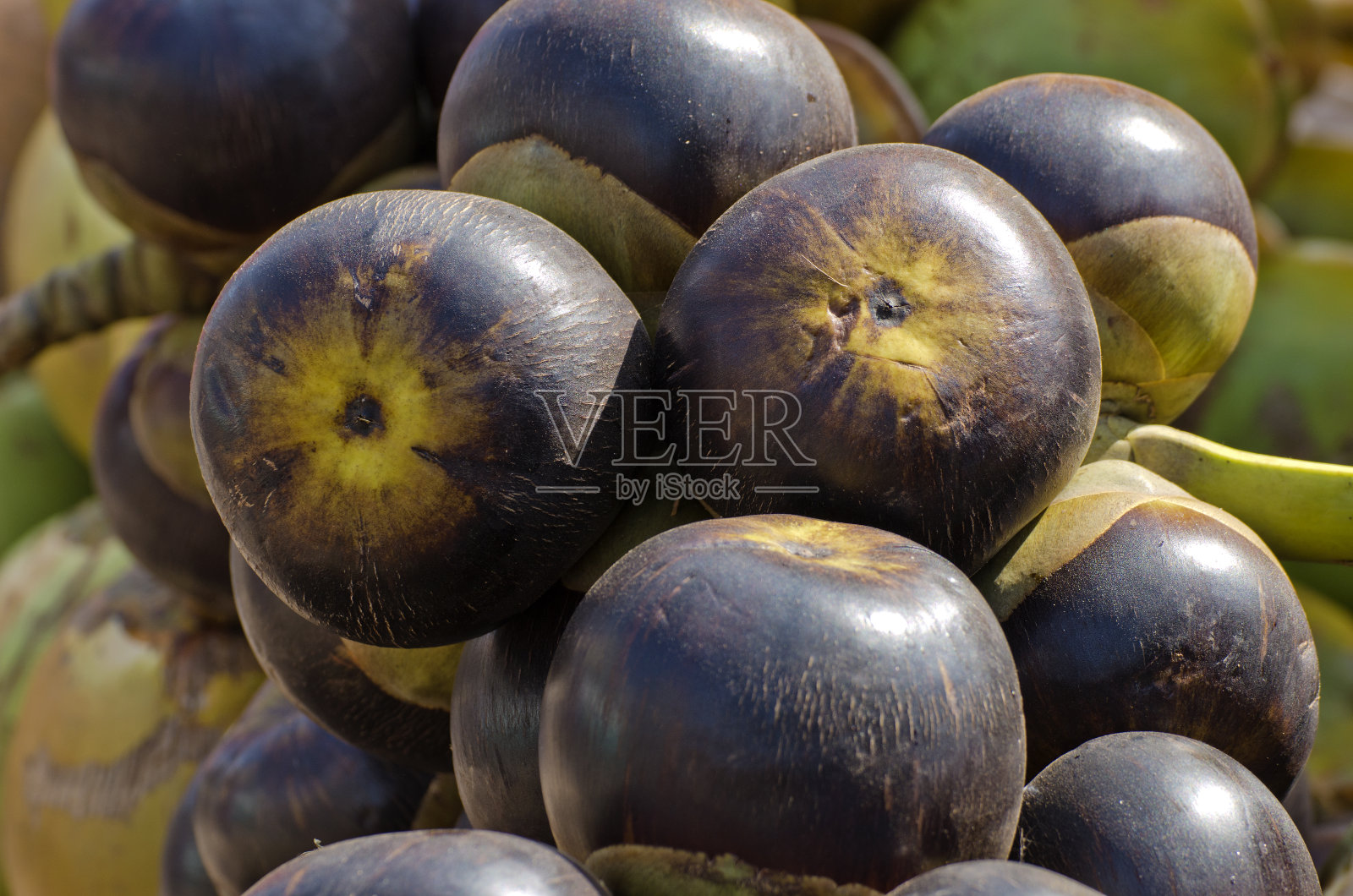 新鲜椰子在南印度市场成堆照片摄影图片