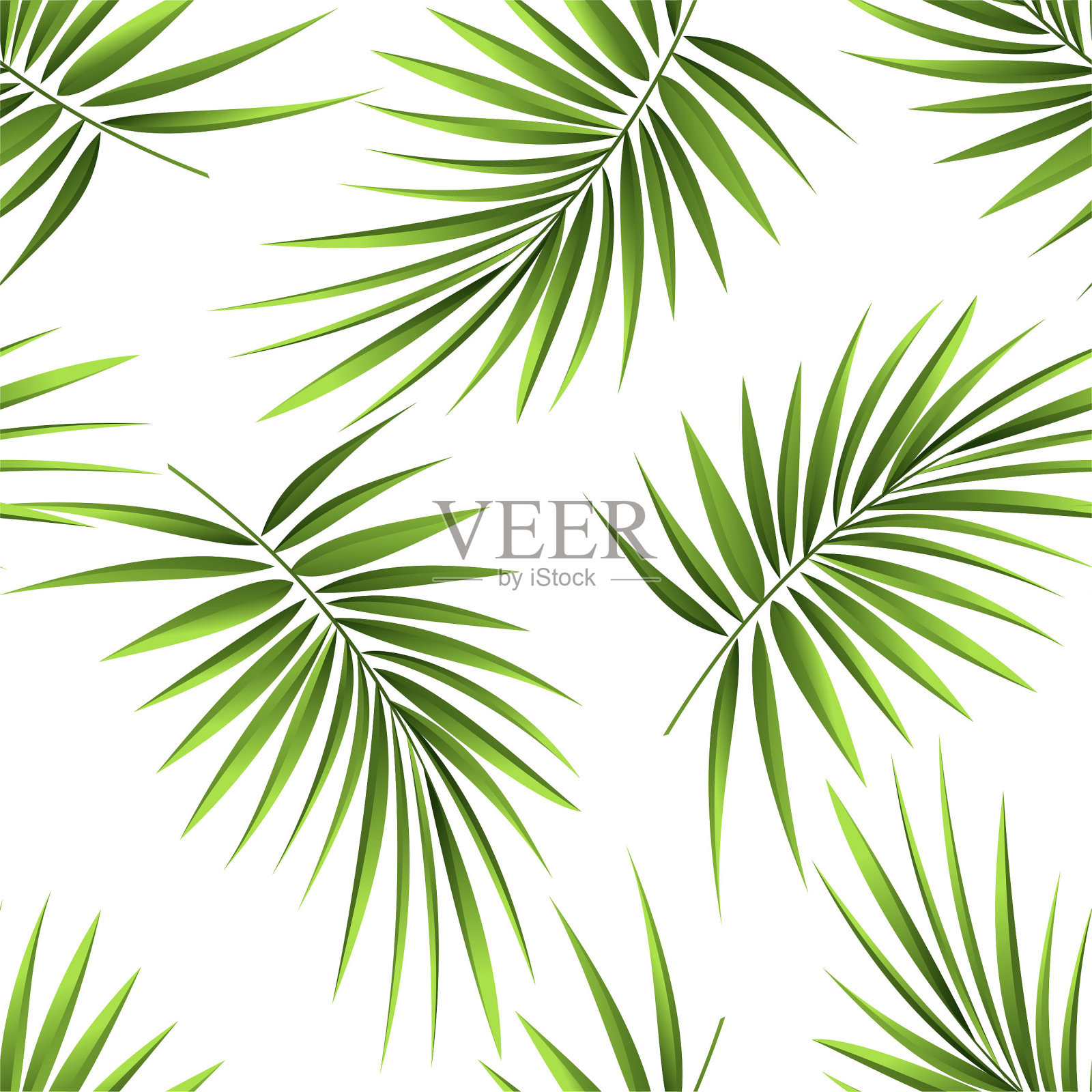 热带棕榈枝，丛林树叶的无缝图案。手绘。插画图片素材