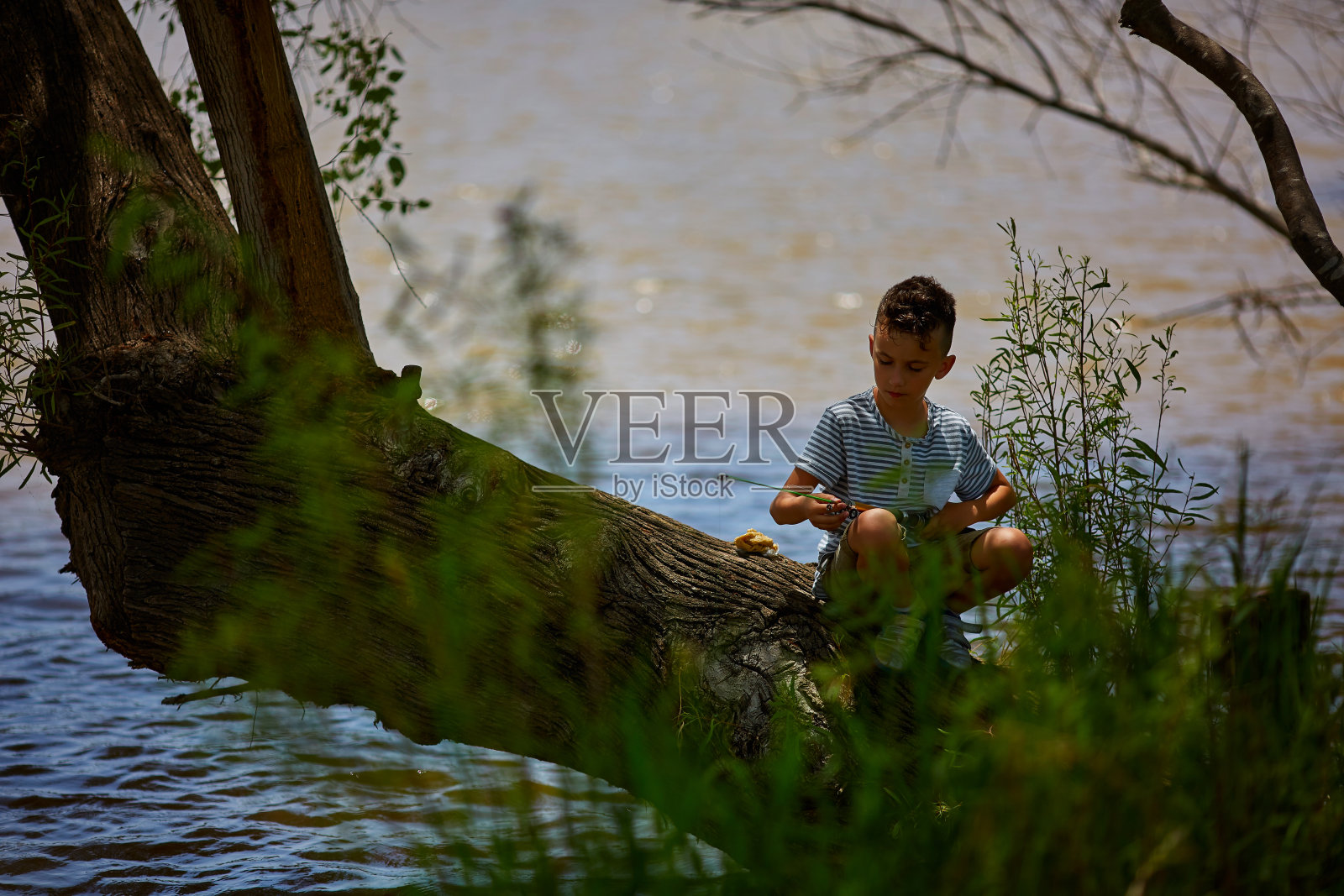 小男孩坐在树上钓鱼照片摄影图片