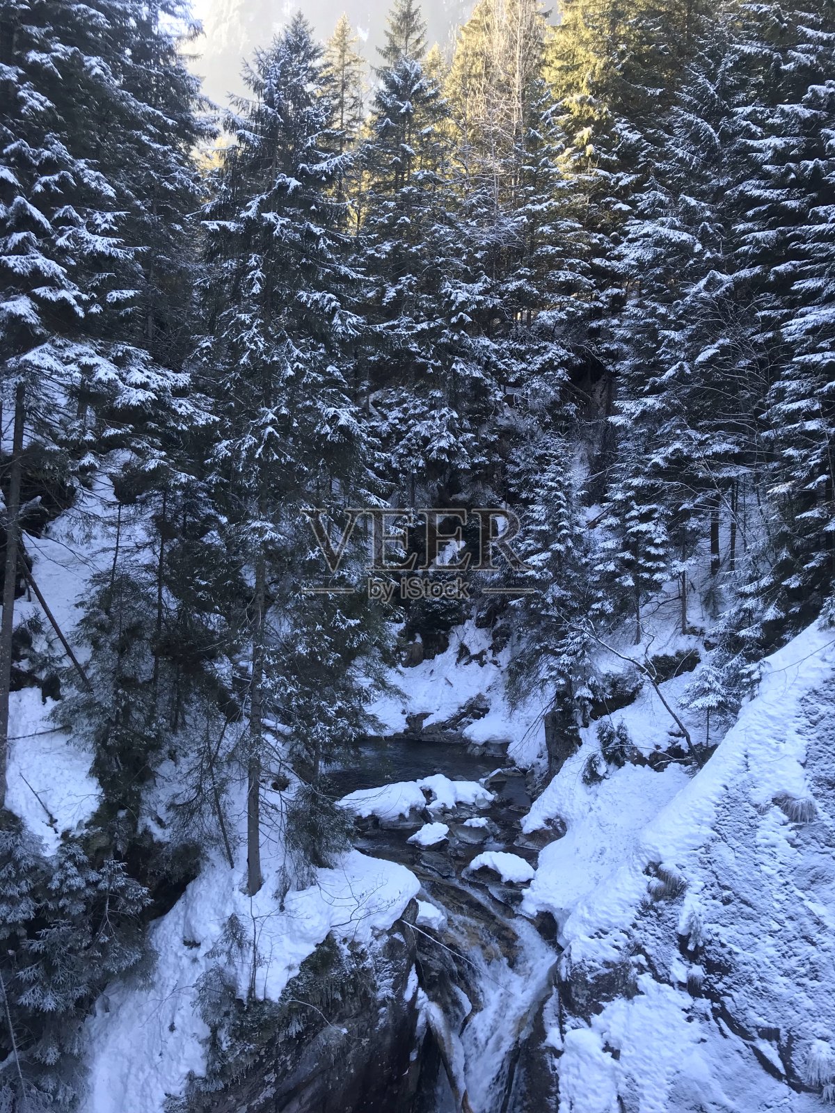 别照片摄影图片