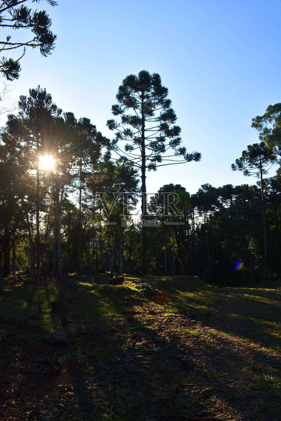 圣卡塔琳娜的风景照片摄影图片