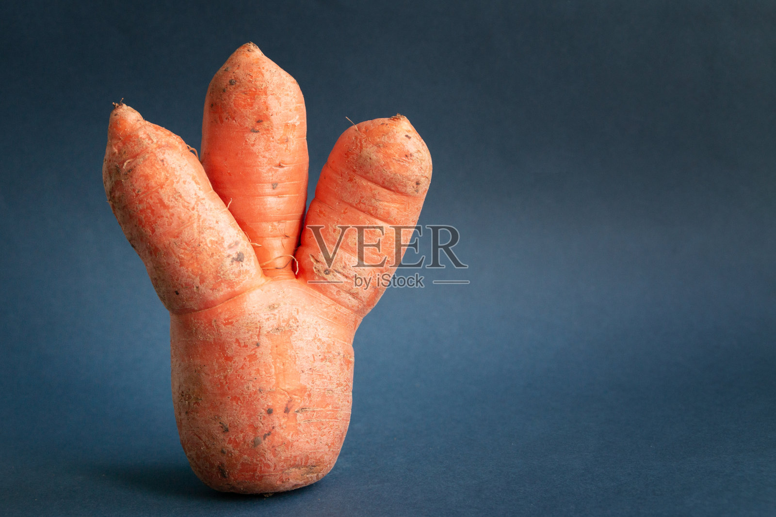 丑陋的胡萝卜孤立照片摄影图片