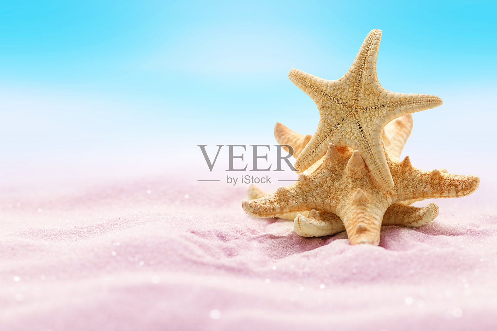 粉红色沙滩上的海星。海滩度假，夏季背景。照片摄影图片