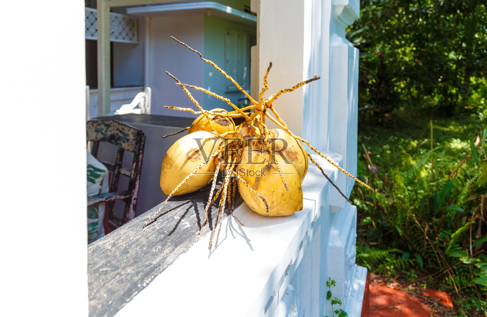 在一个亚洲热带国家的Villa的窗台上，树枝和椰子。照片摄影图片