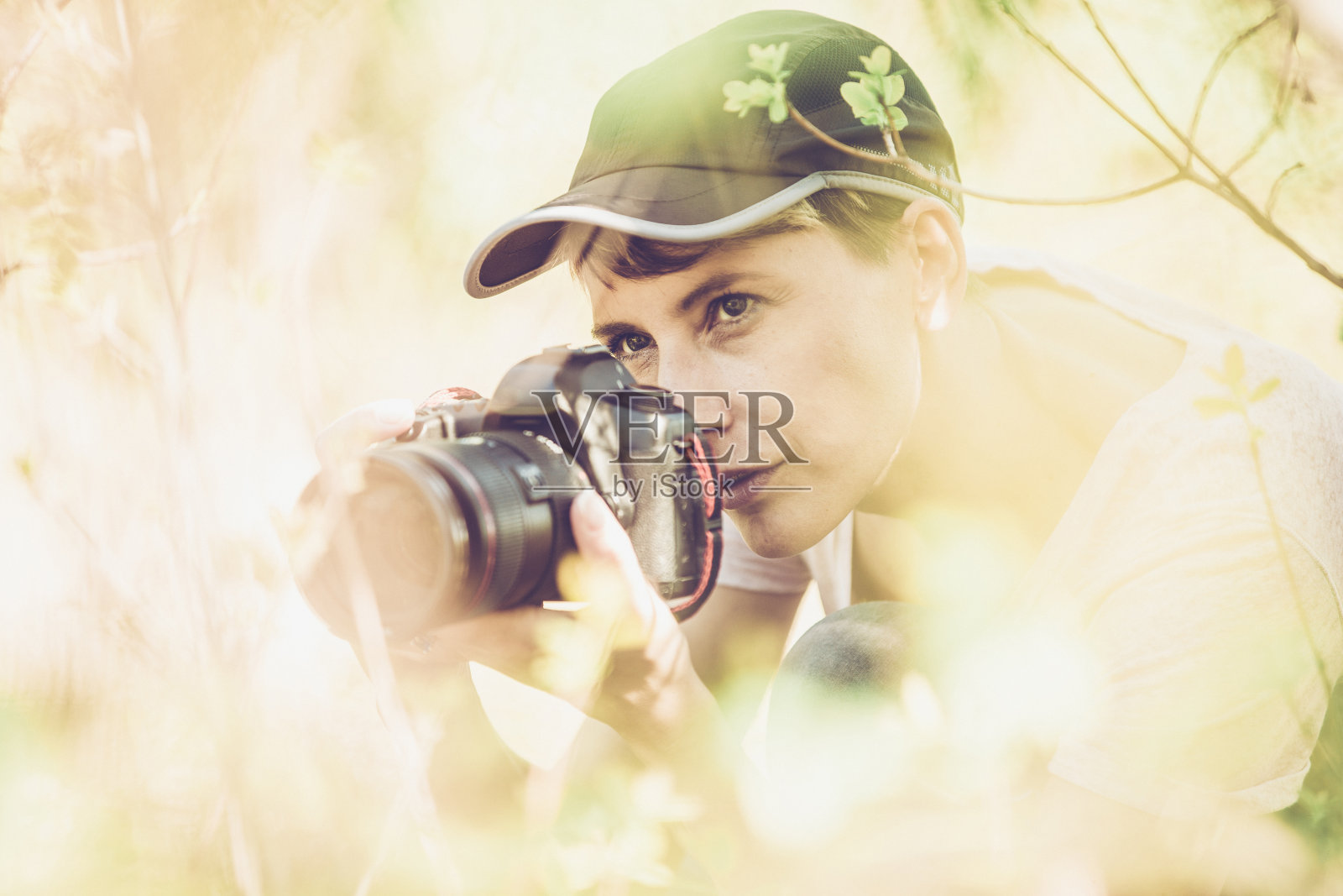 中年妇女摄影师藏在灌木丛和观察照片摄影图片