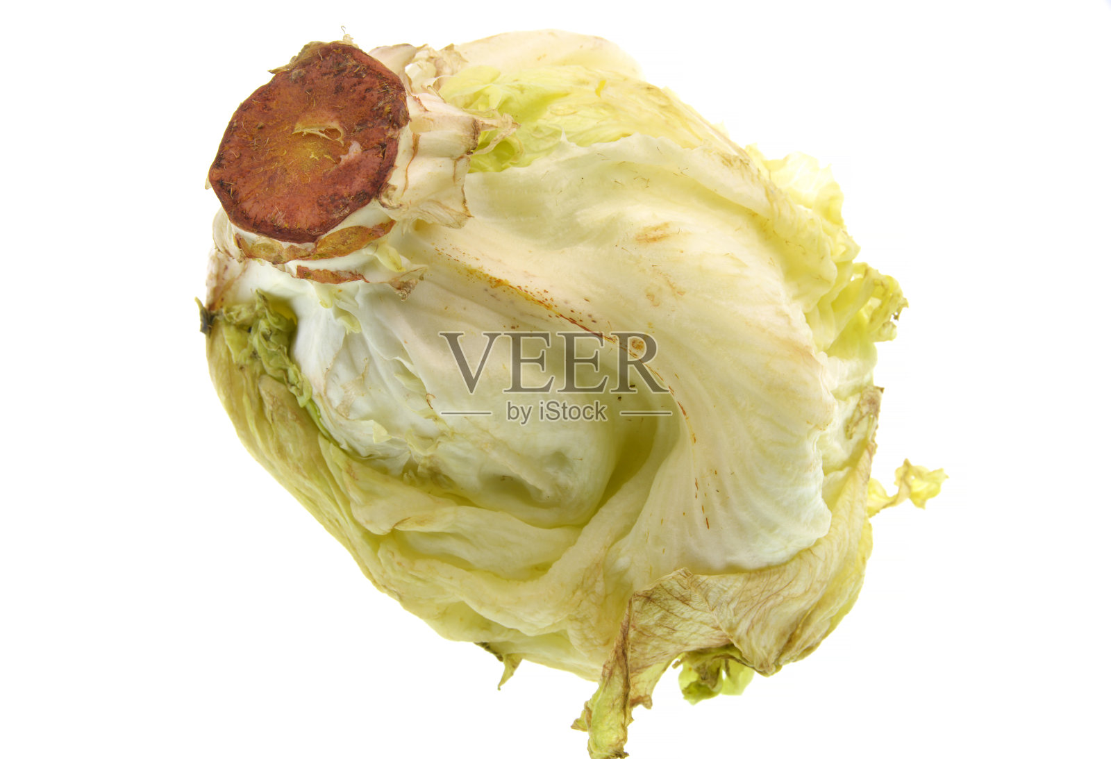 白色背景下孤立的莴苣照片摄影图片