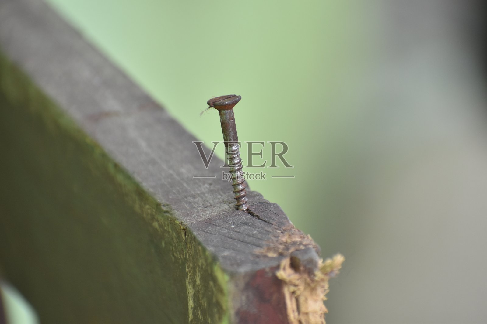 指甲照片摄影图片