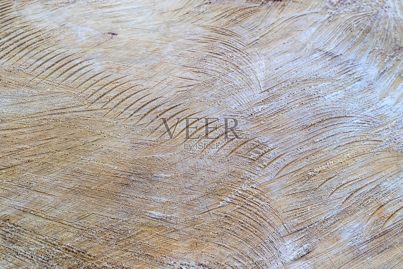 一棵大树被锯下的纹理，上面有锯过的痕迹和裂缝照片摄影图片