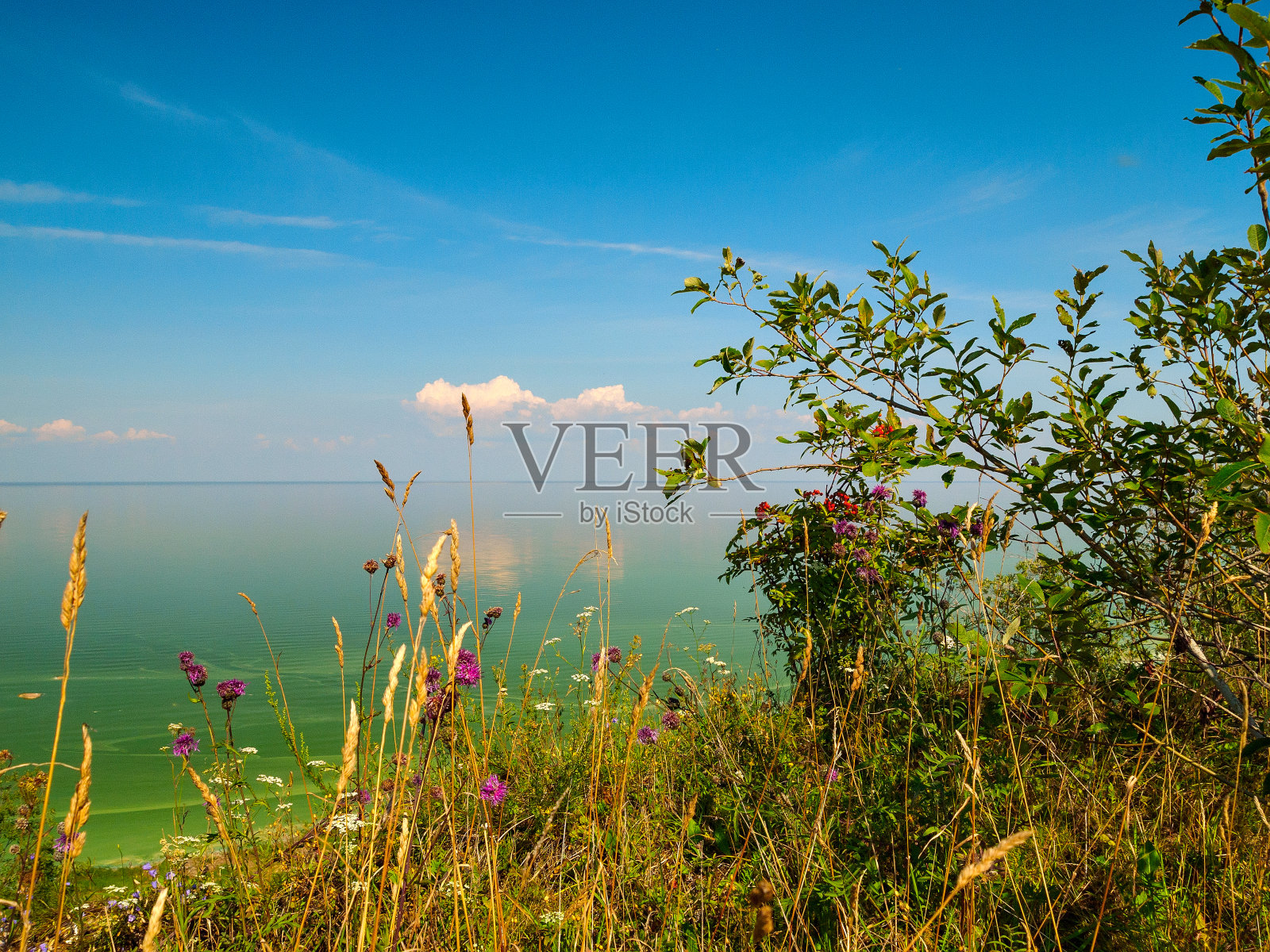 俄罗斯诺夫哥罗德地区的伊尔门湖照片摄影图片