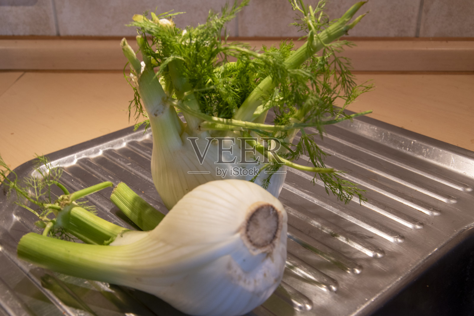 茴香是伞形科小茴香属植物中唯一的一种。它是一种世界性的蔬菜、香料和药用植物。照片摄影图片