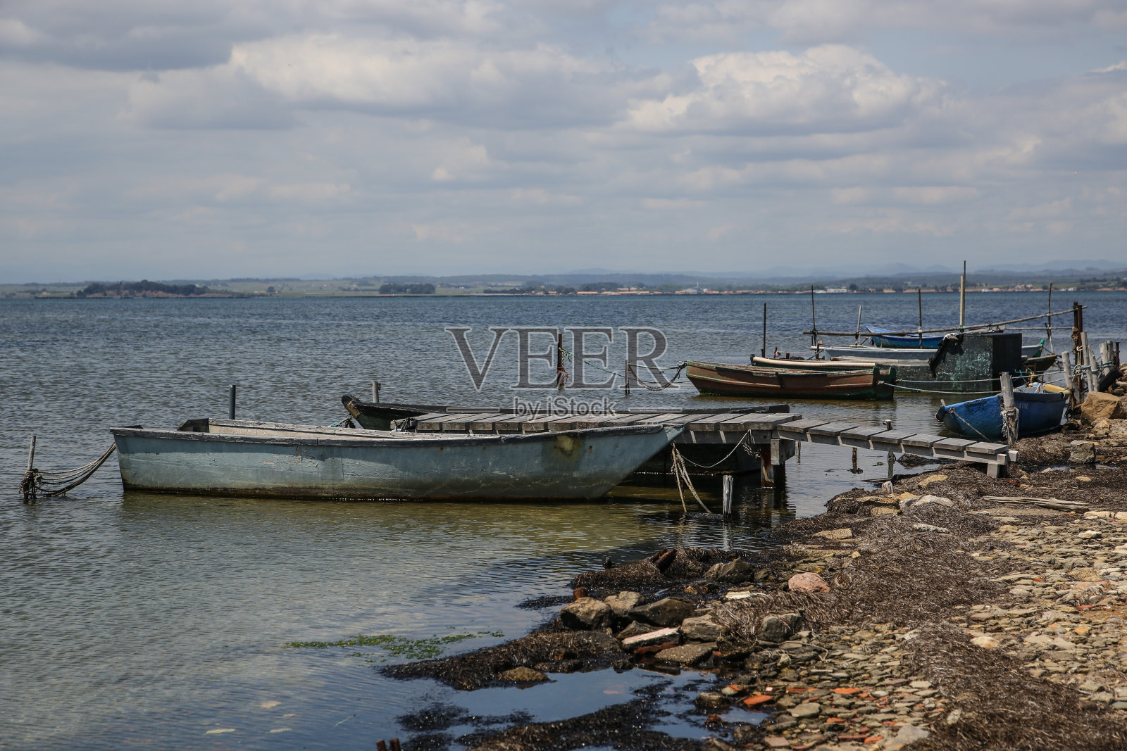 法国卡玛格一直照片摄影图片