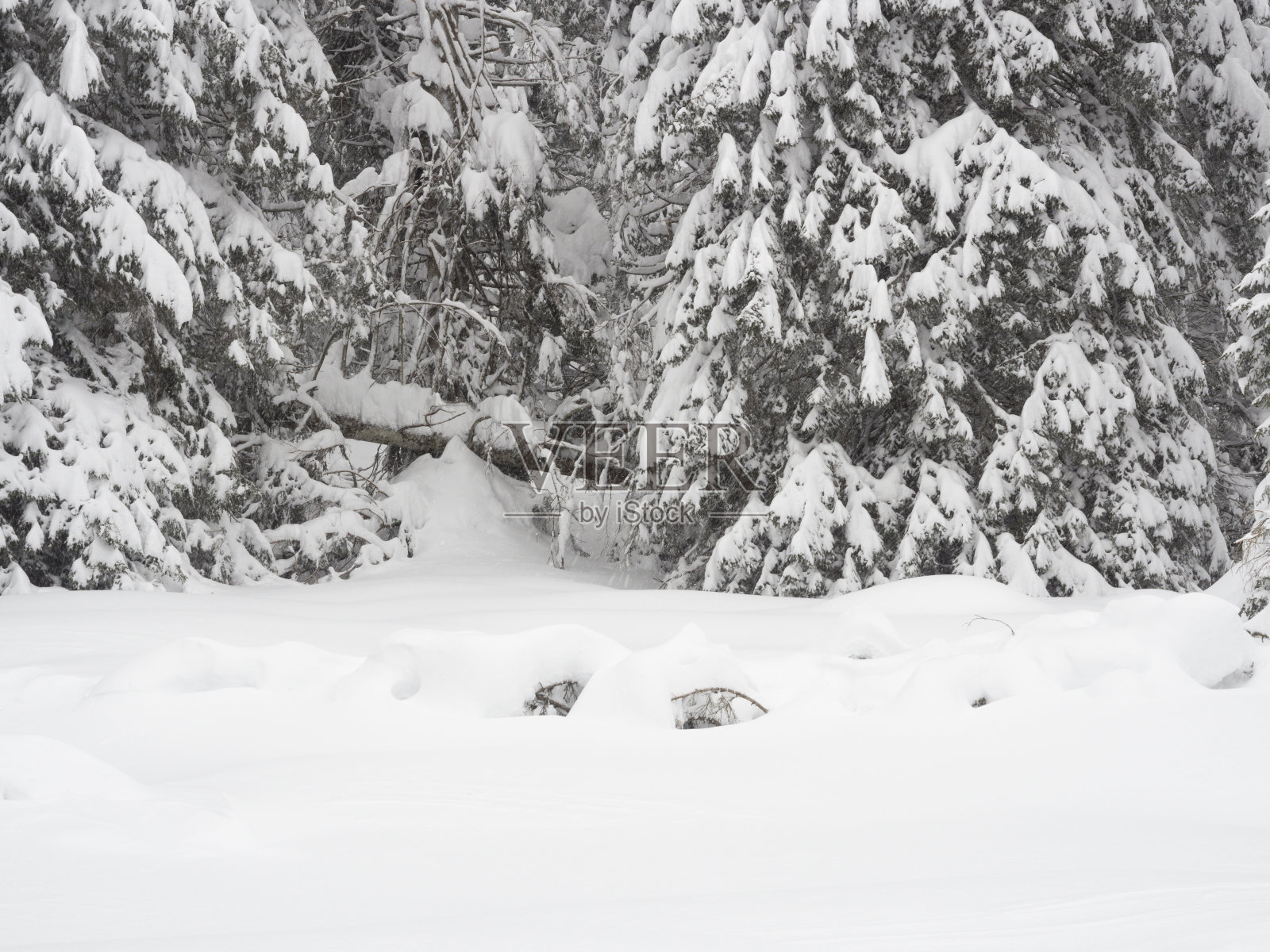 特雷克金在帕索科， 特伦蒂诺阿尔托阿迪格照片摄影图片