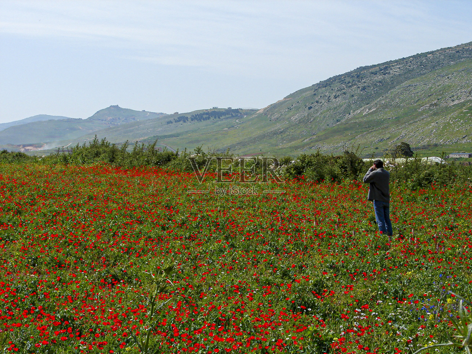 黎巴嫩南部的自然美景照片摄影图片
