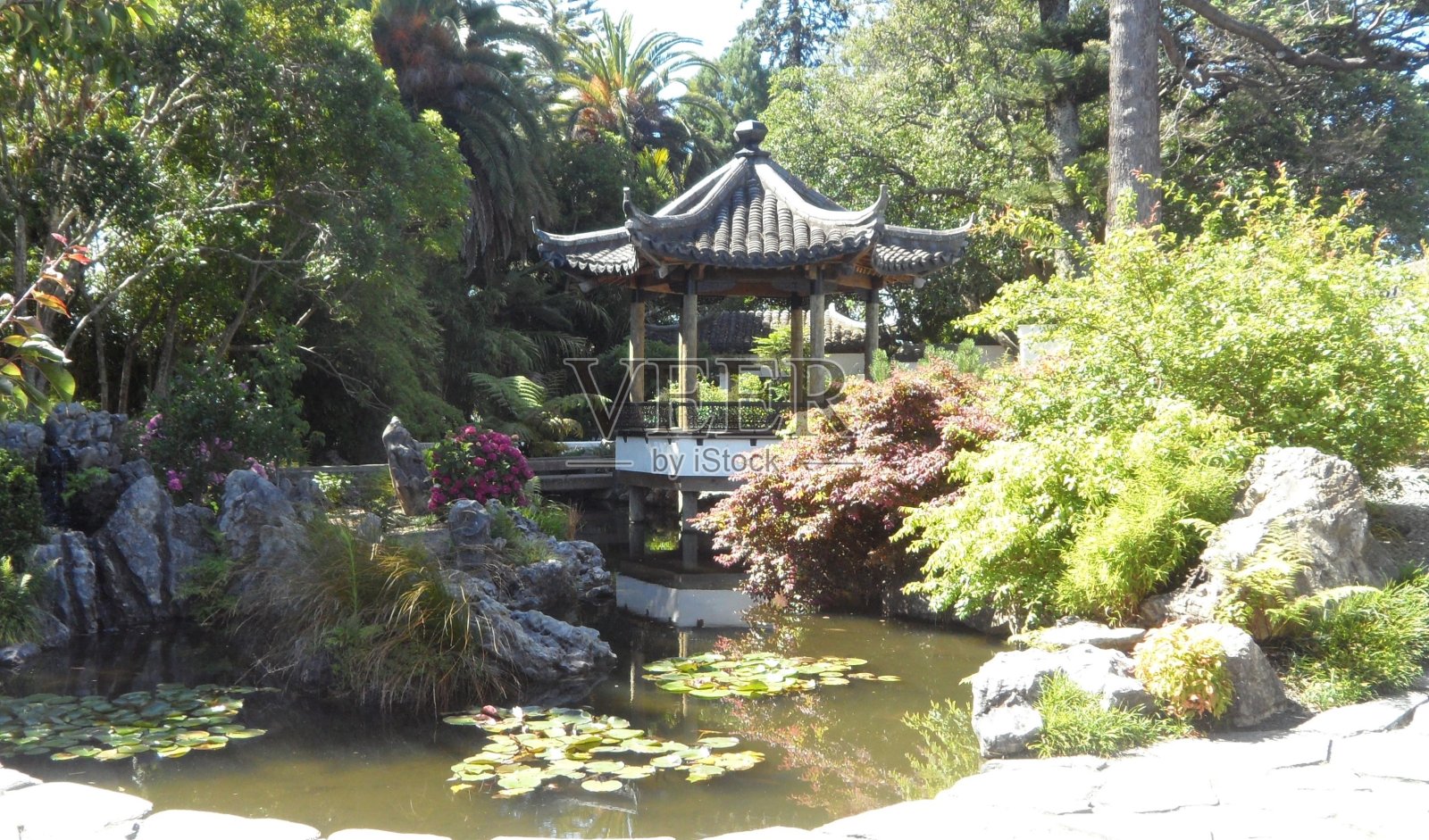 美丽的亚洲风格花园，有亭，湖和植物。汉密尔顿花园。照片摄影图片