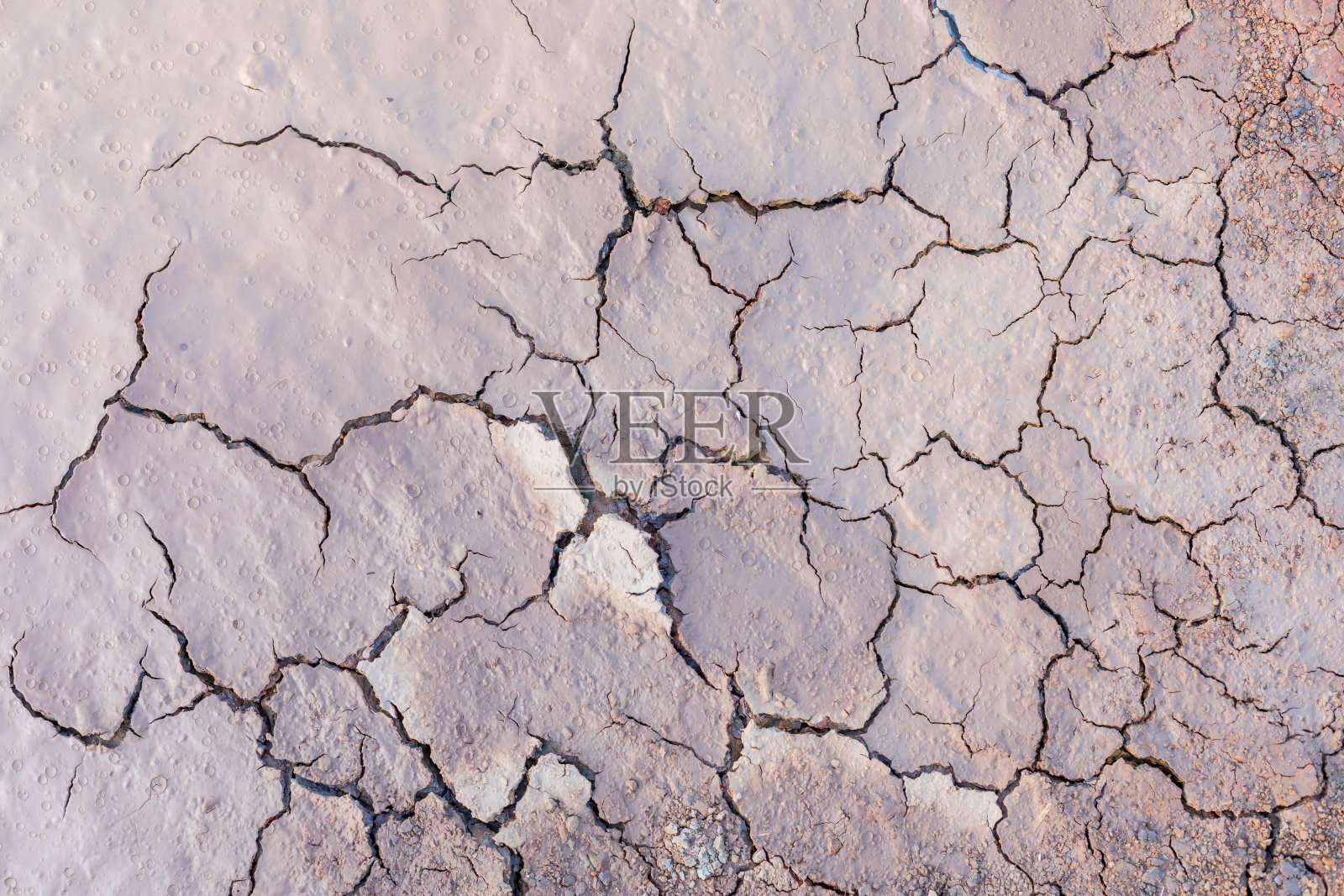 以灰色干土质或泥质为背景照片摄影图片