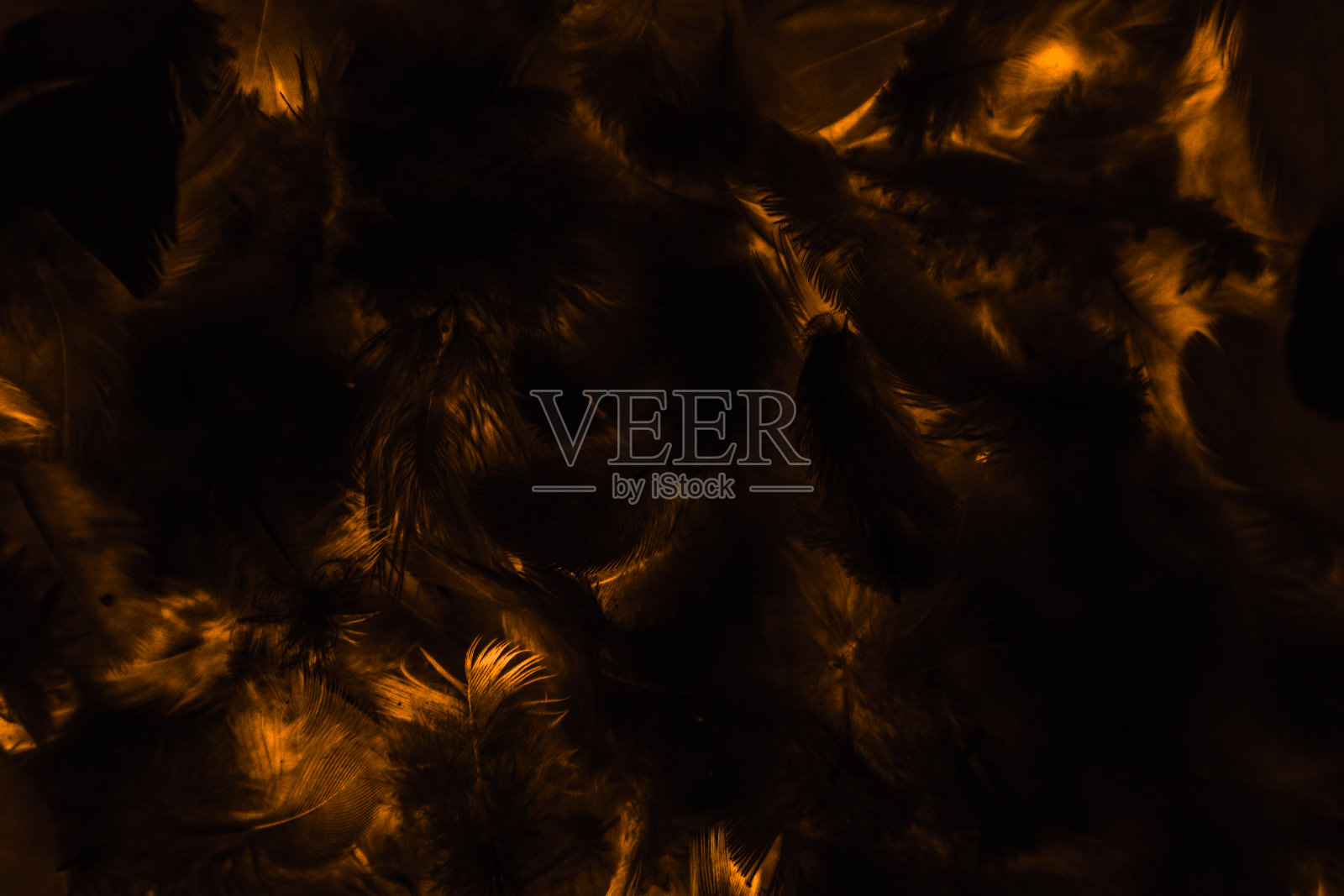美丽抽象多彩的黑色橙色和黄色羽毛在黑色的背景和柔软的白色金色羽毛纹理在黑色的图案和黄色的背景，五颜六色的羽毛，黄色的横幅照片摄影图片