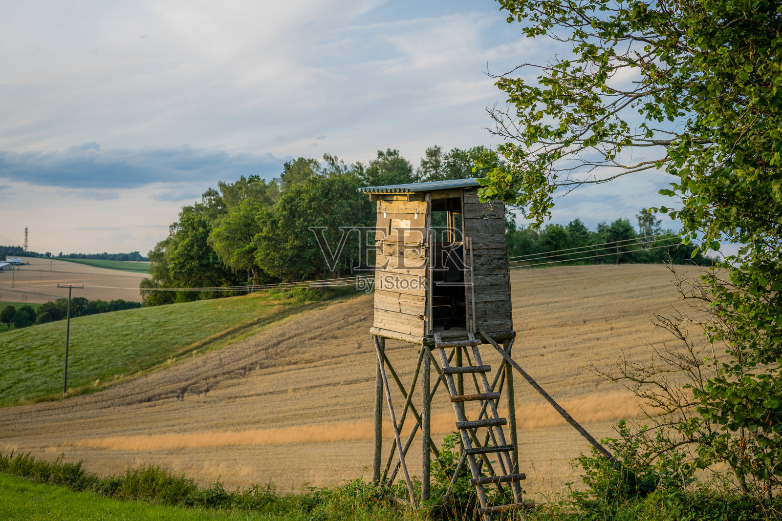 有狩猎栖木的景观照片摄影图片
