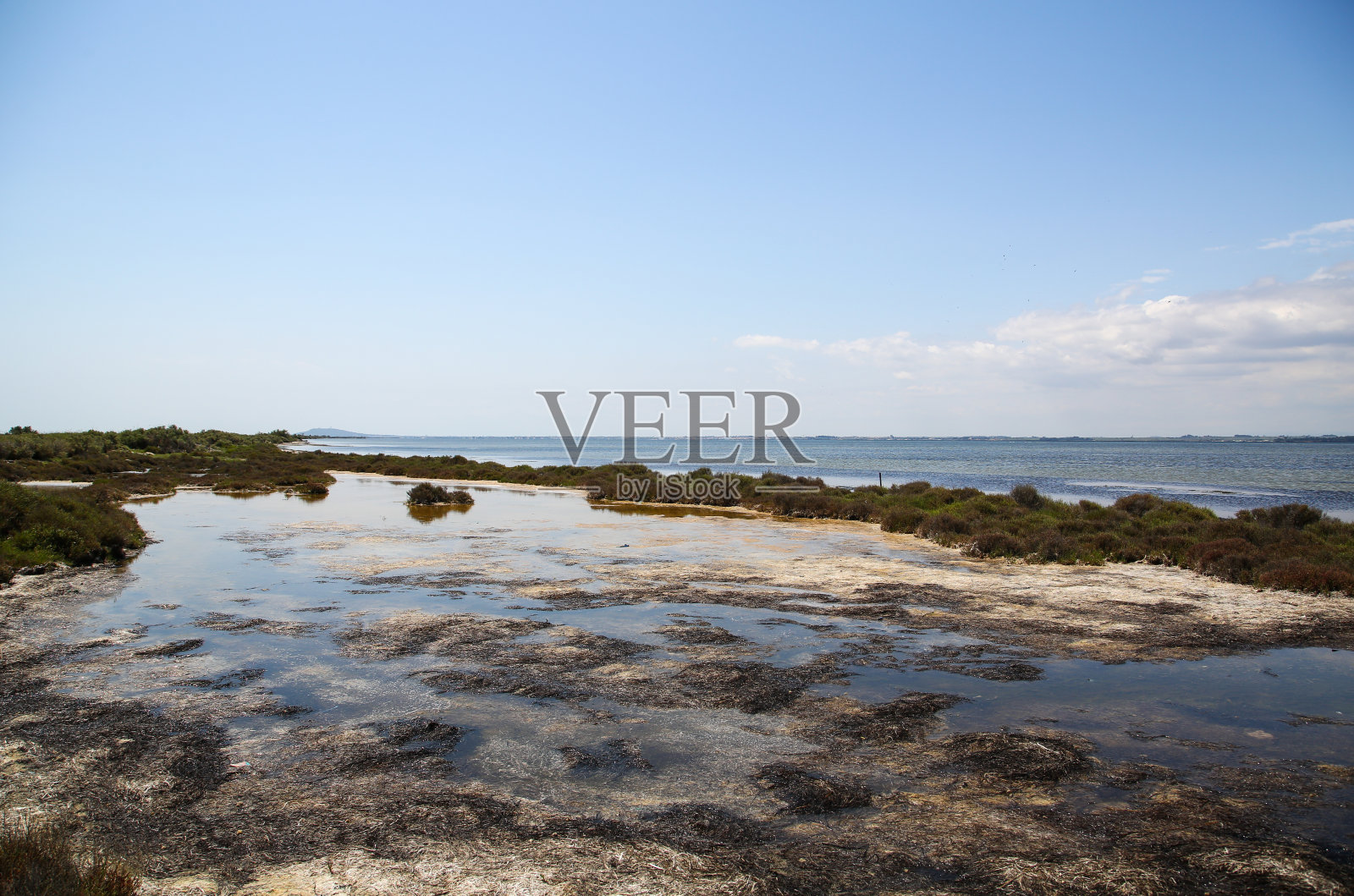 法国卡玛格一直照片摄影图片