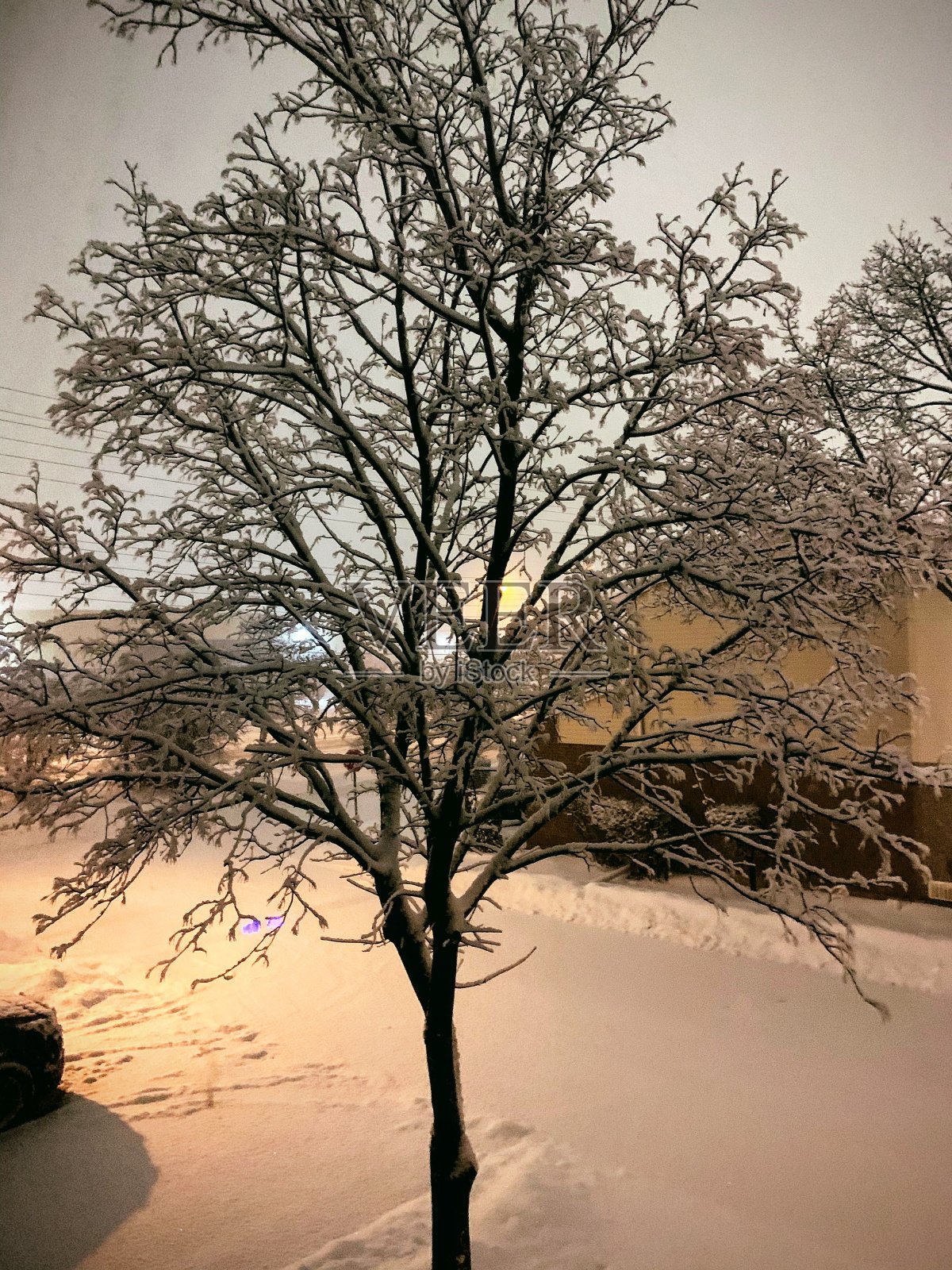 雪的城市照片摄影图片