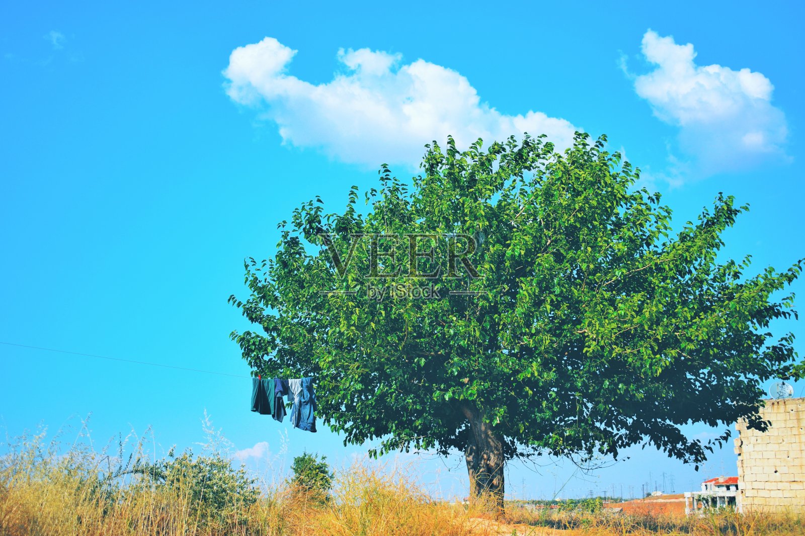 叙利亚伊德利卜的自然风光照片摄影图片