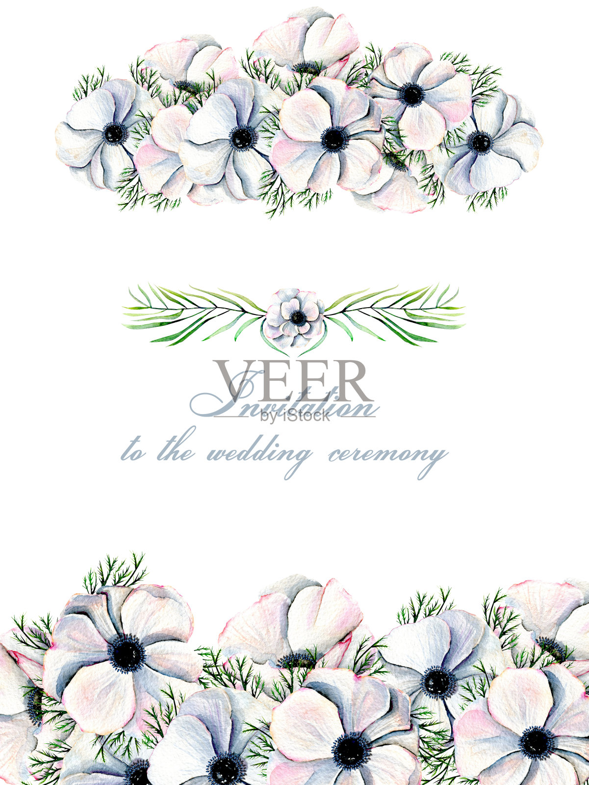 花卉设计的水彩白色银莲花，手绘在白色背景，为母亲节，婚礼，生日和其他贺卡插画图片素材