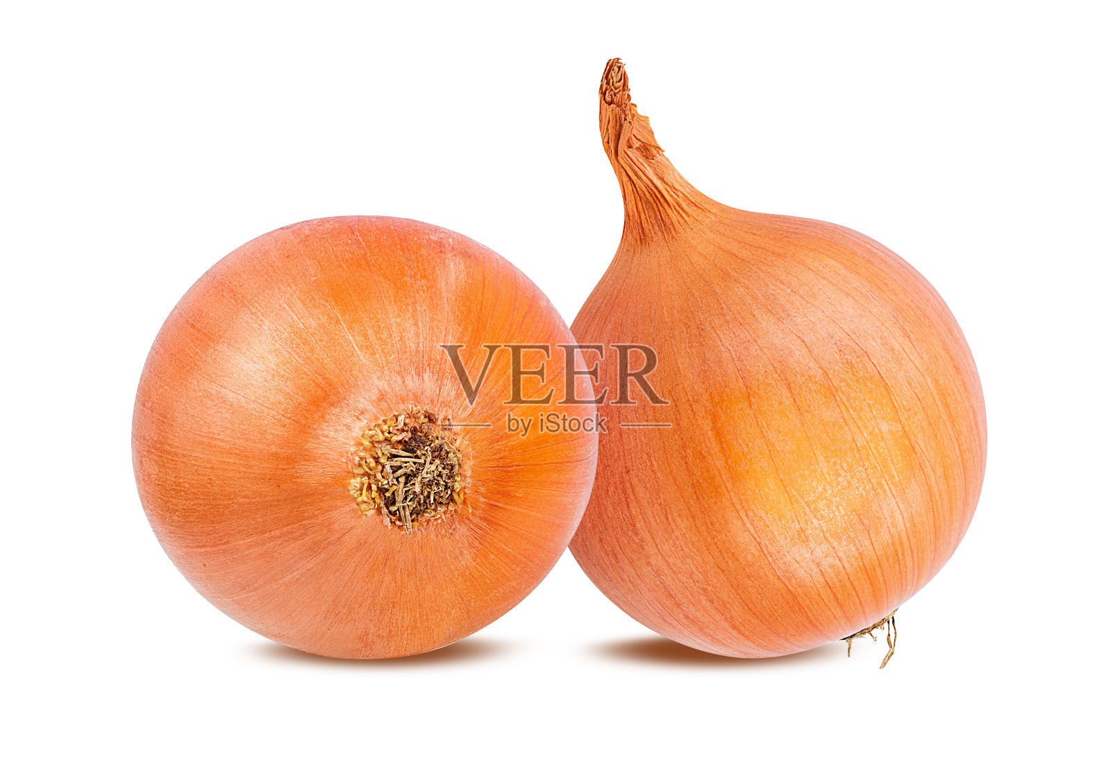 洋葱孤立在白色照片摄影图片