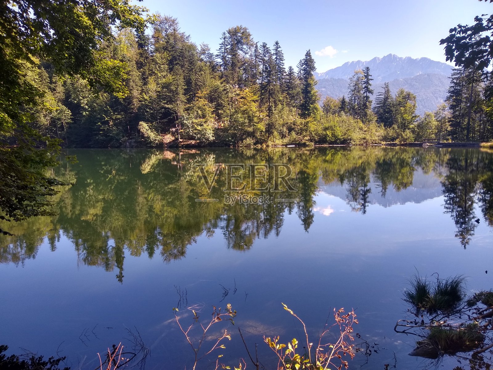 清澈的山湖，映照着蒂罗尔的森林和山脉照片摄影图片