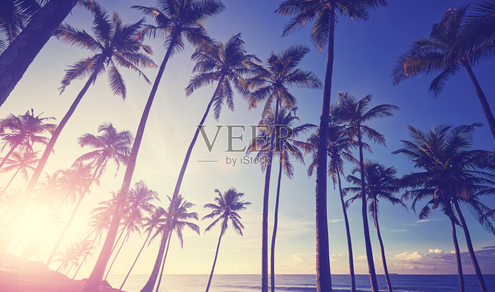 日落时分，热带海滩上椰子树的剪影。照片摄影图片