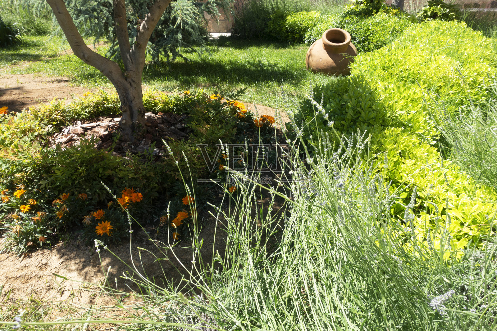 古希腊绿草壶，花园家具照片摄影图片