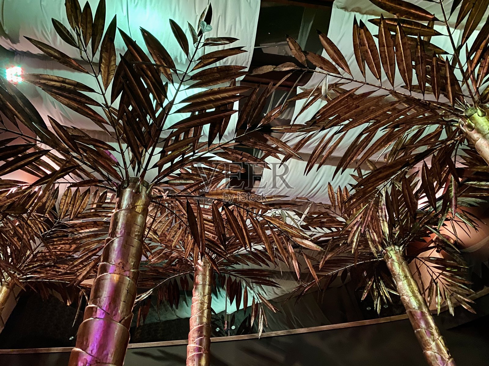 餐厅里的金色棕榈树照片摄影图片