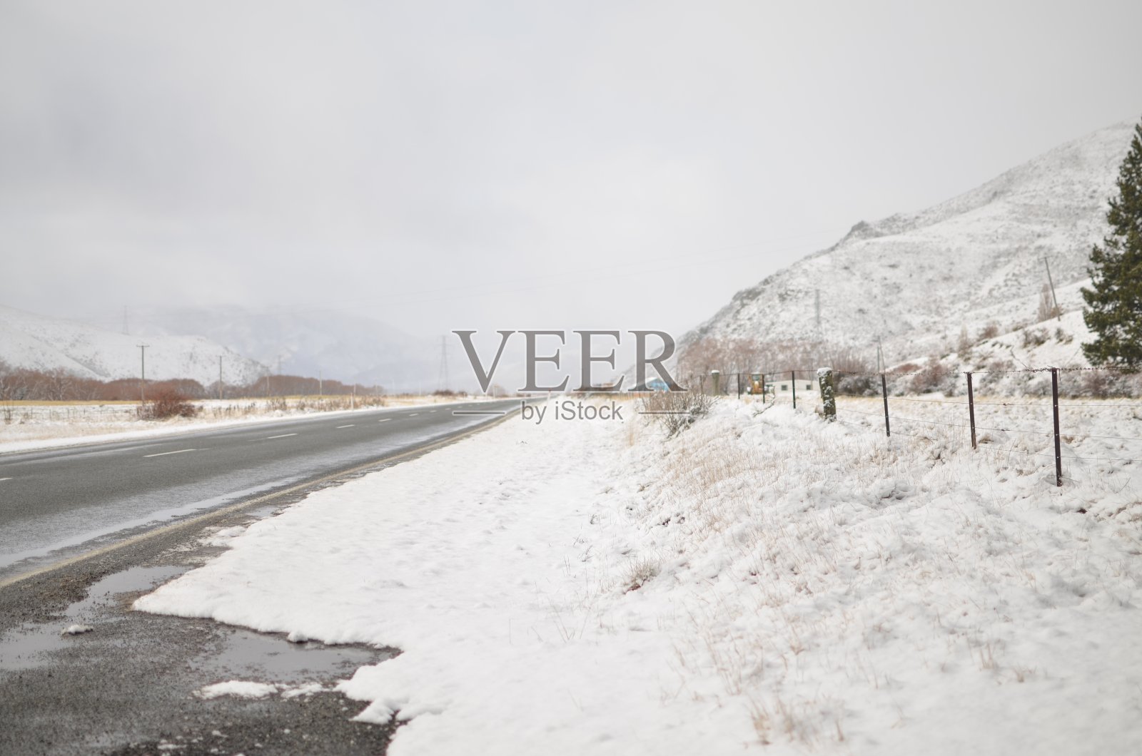 纯如雪照片摄影图片