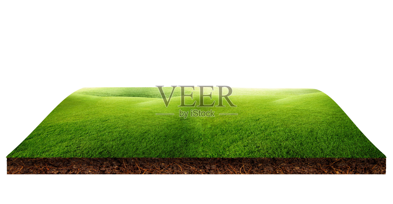 绿色的草，天然的草地和小山丘在棕色的地面上孤立在白色的背景。照片摄影图片