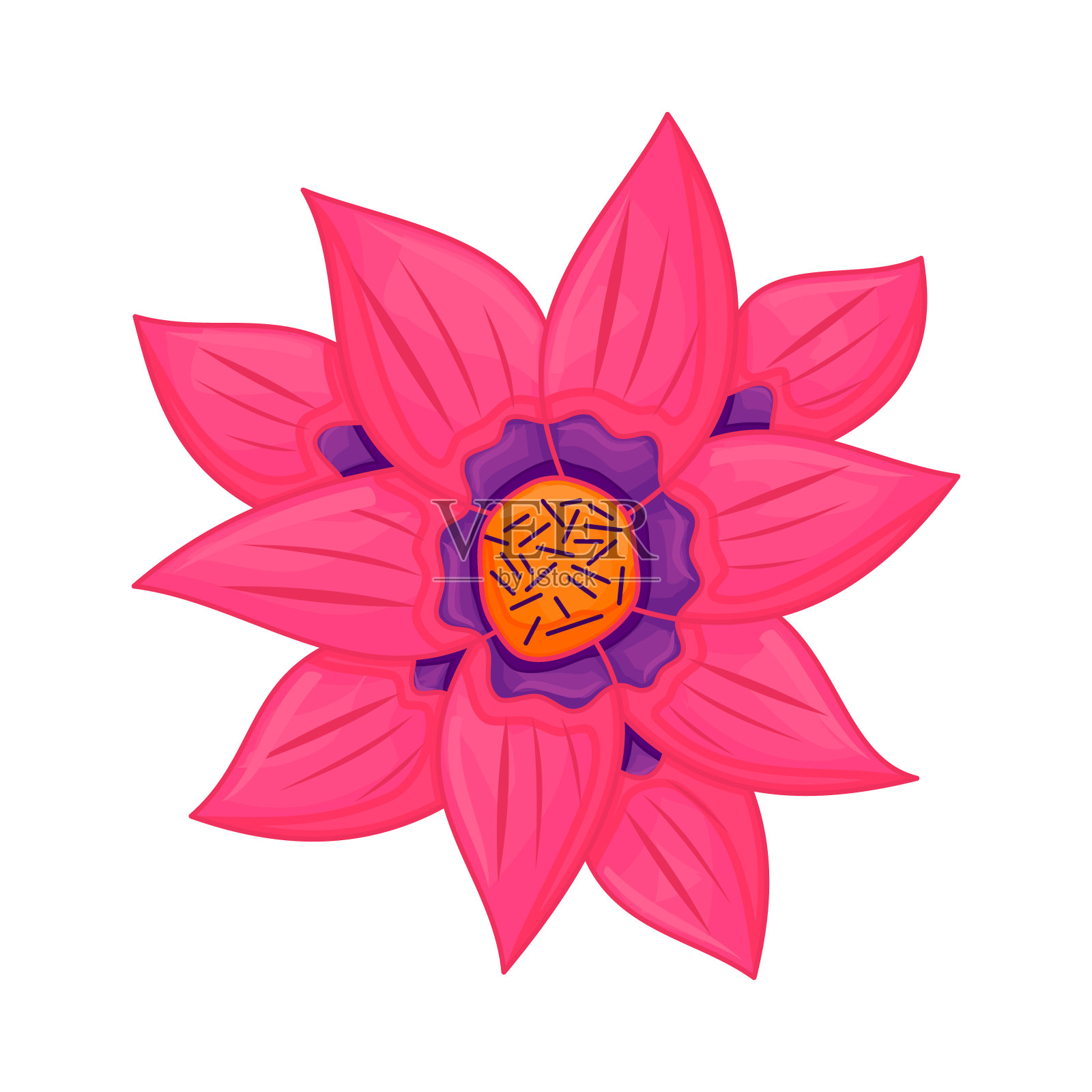 矢量花植物花插图颜色点缀粉红色插画图片素材