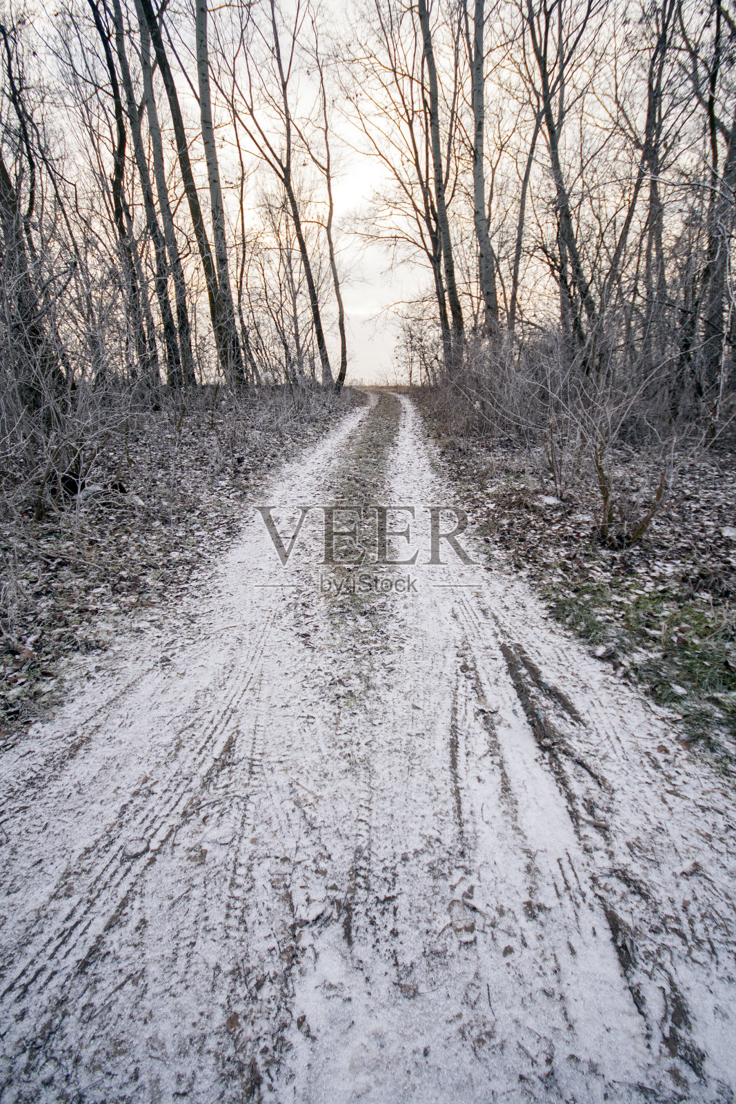 匈牙利乡村的冬季公路照片摄影图片