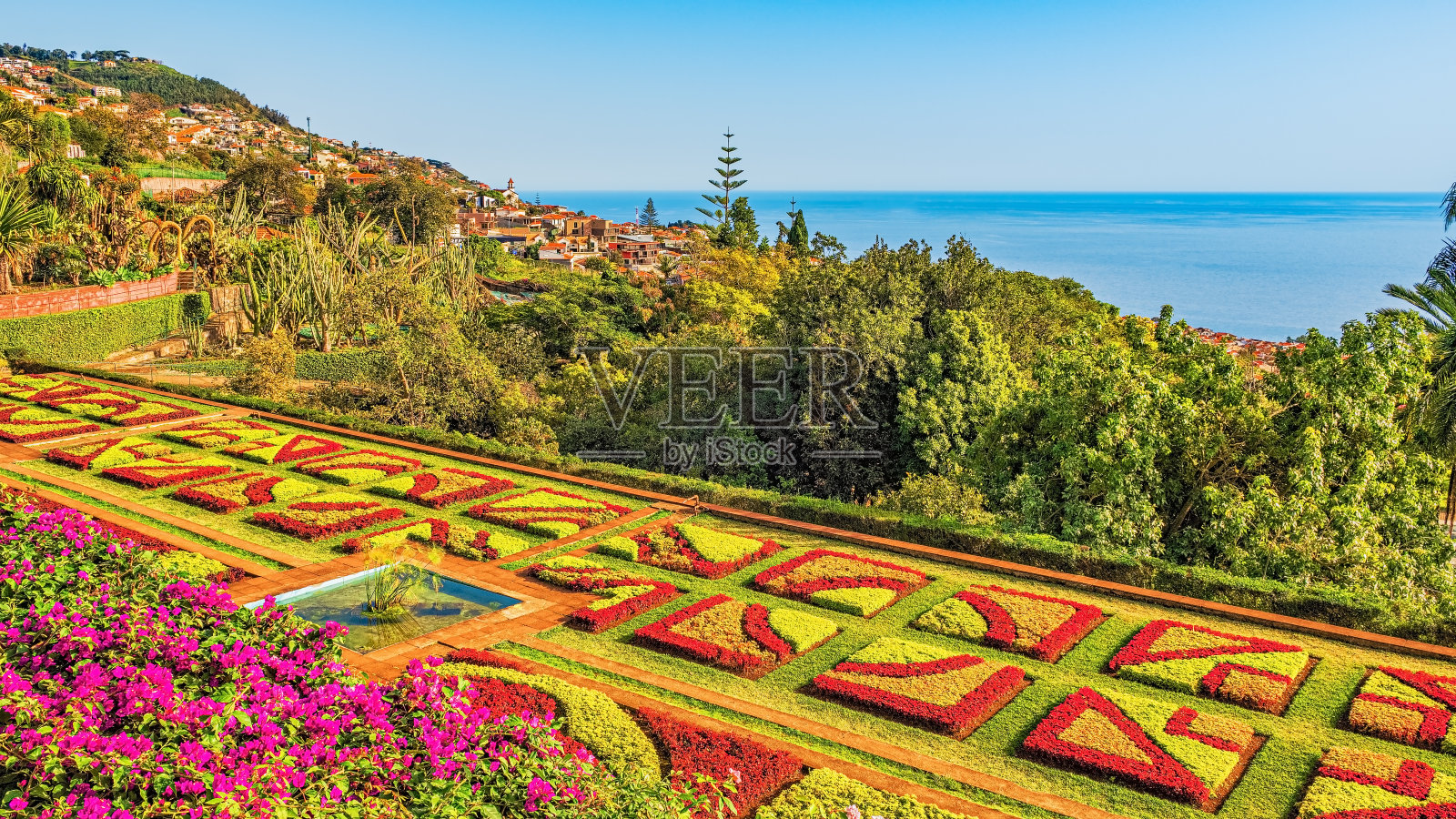马德拉岛Funchal植物园照片摄影图片
