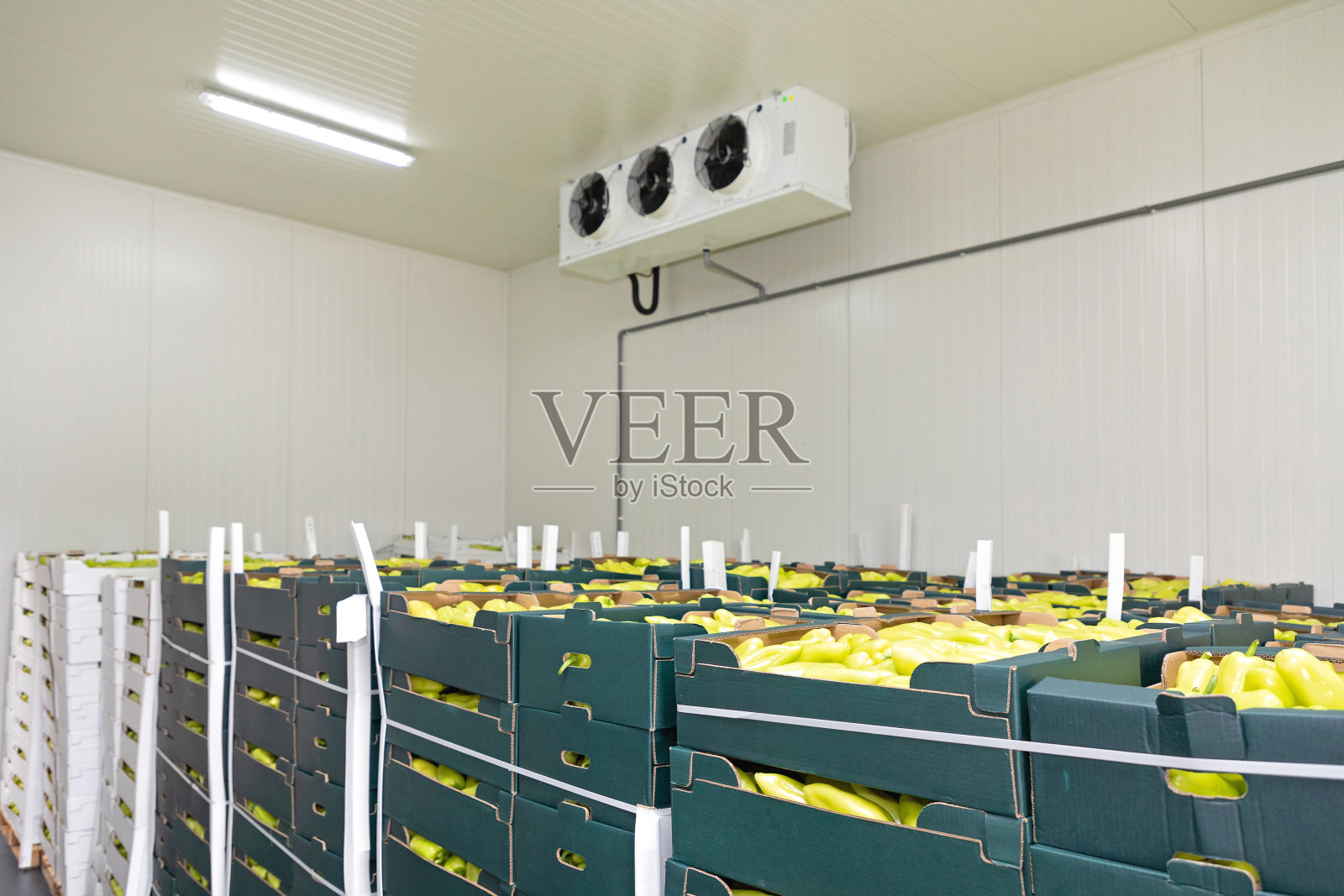 青椒冰箱照片摄影图片