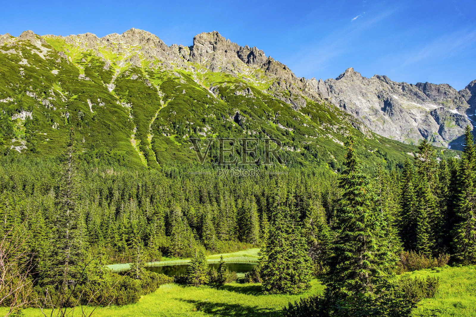 七格拉纳特山脊在扎比亚格兰山脉内，在Rybi Potok山谷在塔特拉山脉，靠近Zakopane在波兰照片摄影图片
