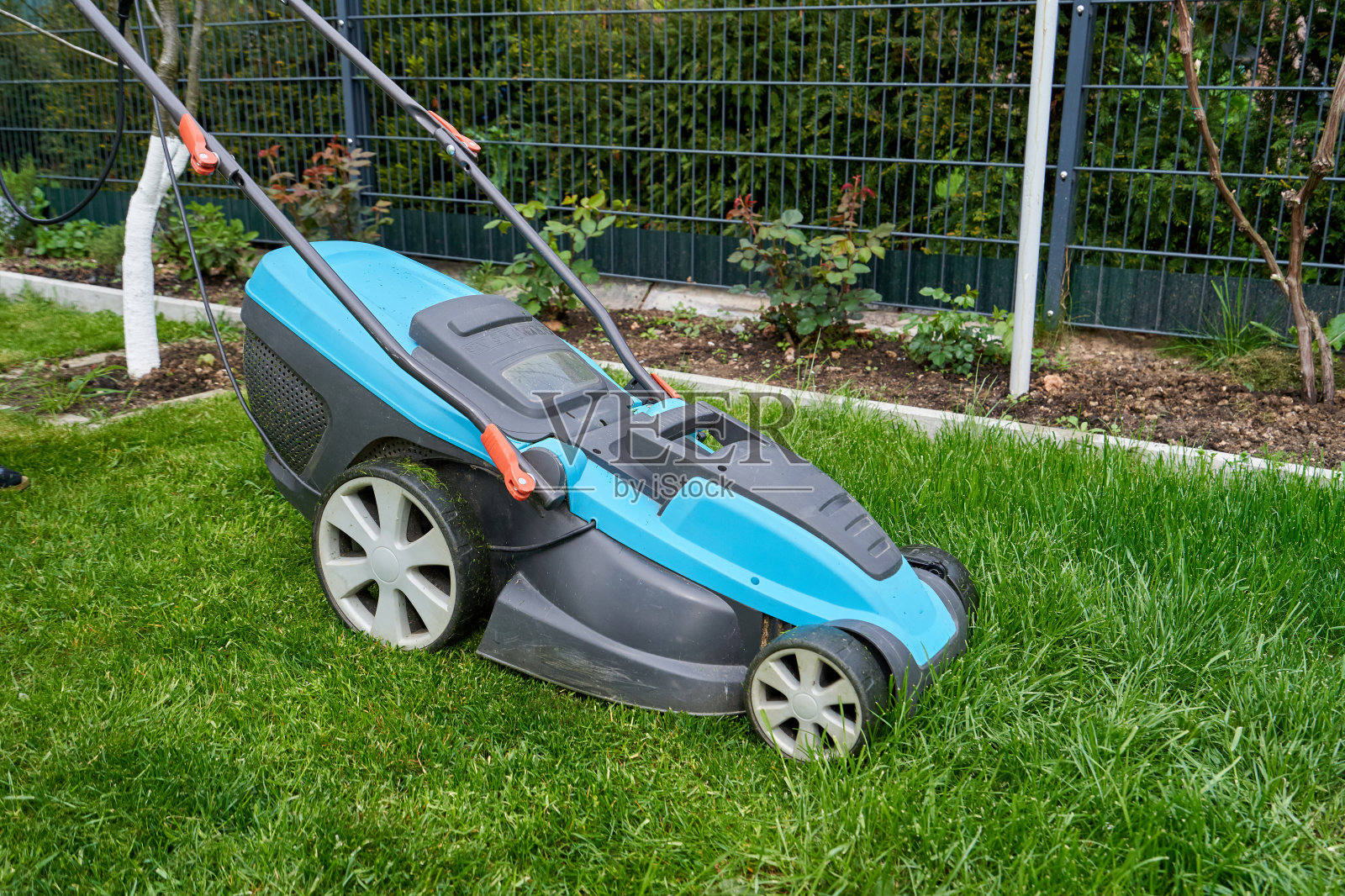 电动割草机修剪草坪特写照片摄影图片