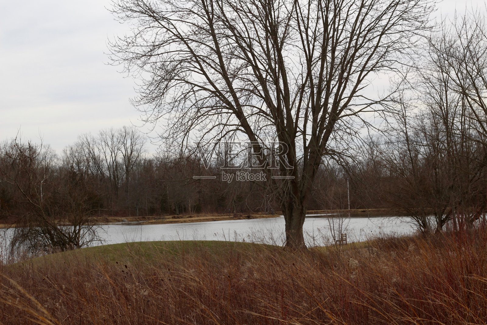 多云的冬日在湖边照片摄影图片